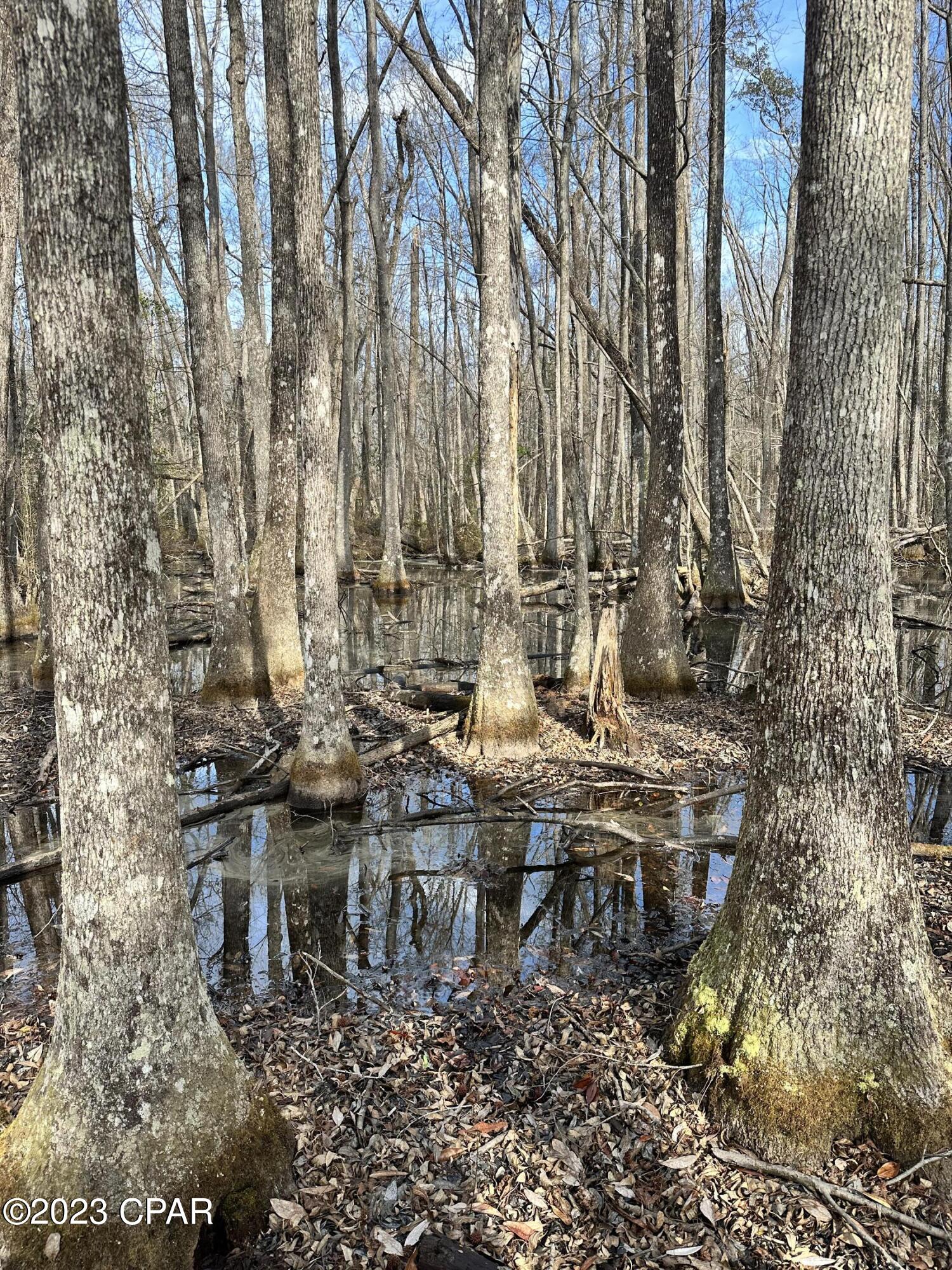 Grand Ridge - Residential