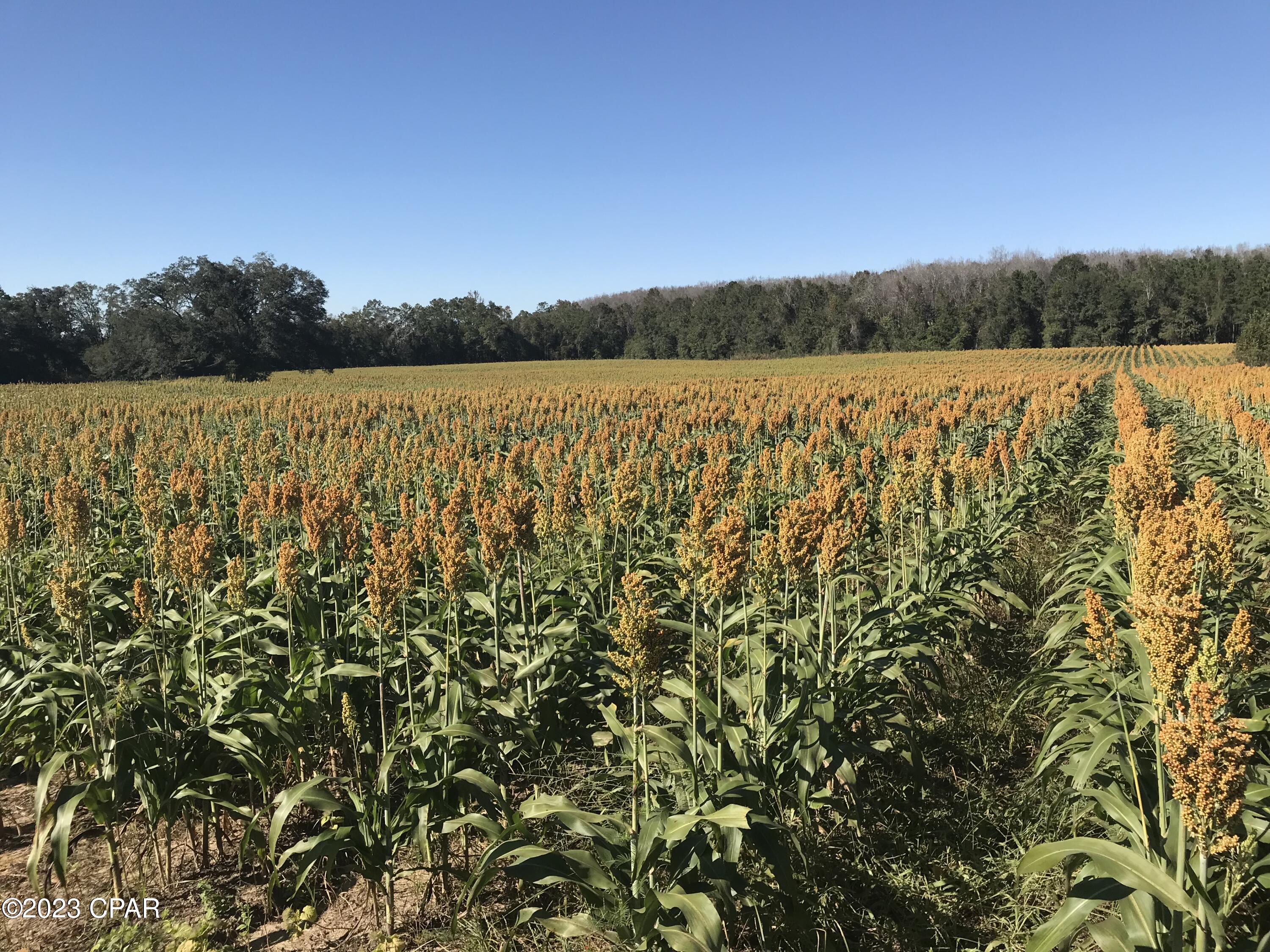 Grand Ridge - Residential