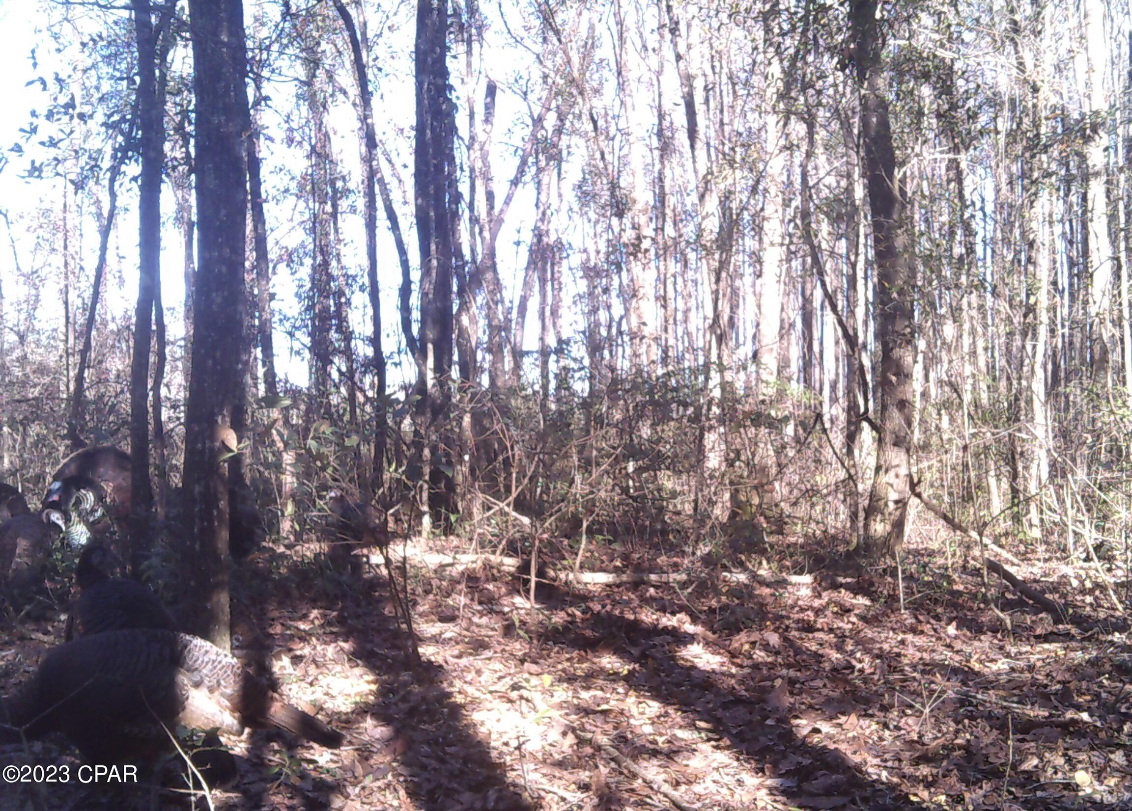 Grand Ridge - Residential