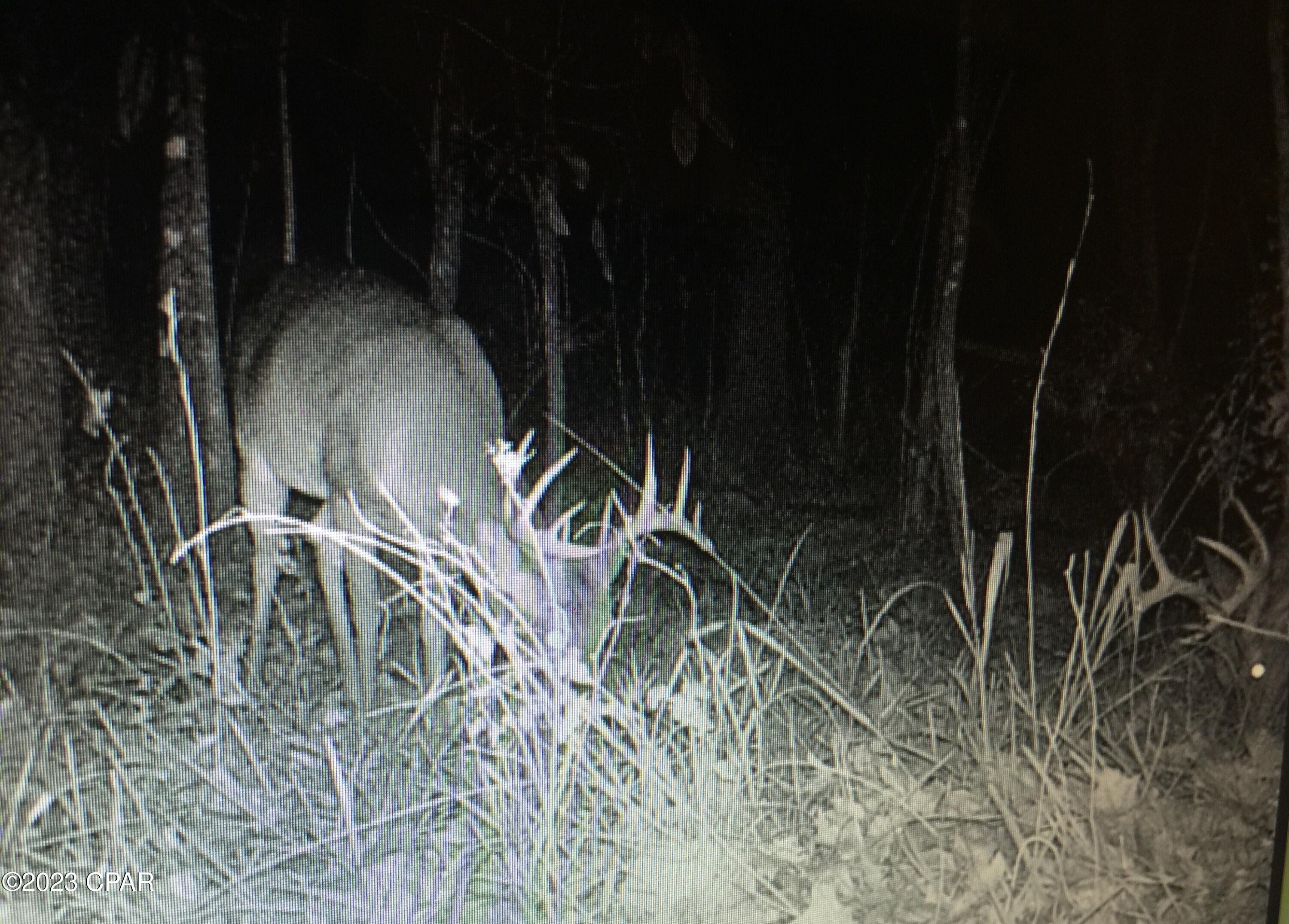 Grand Ridge - Residential