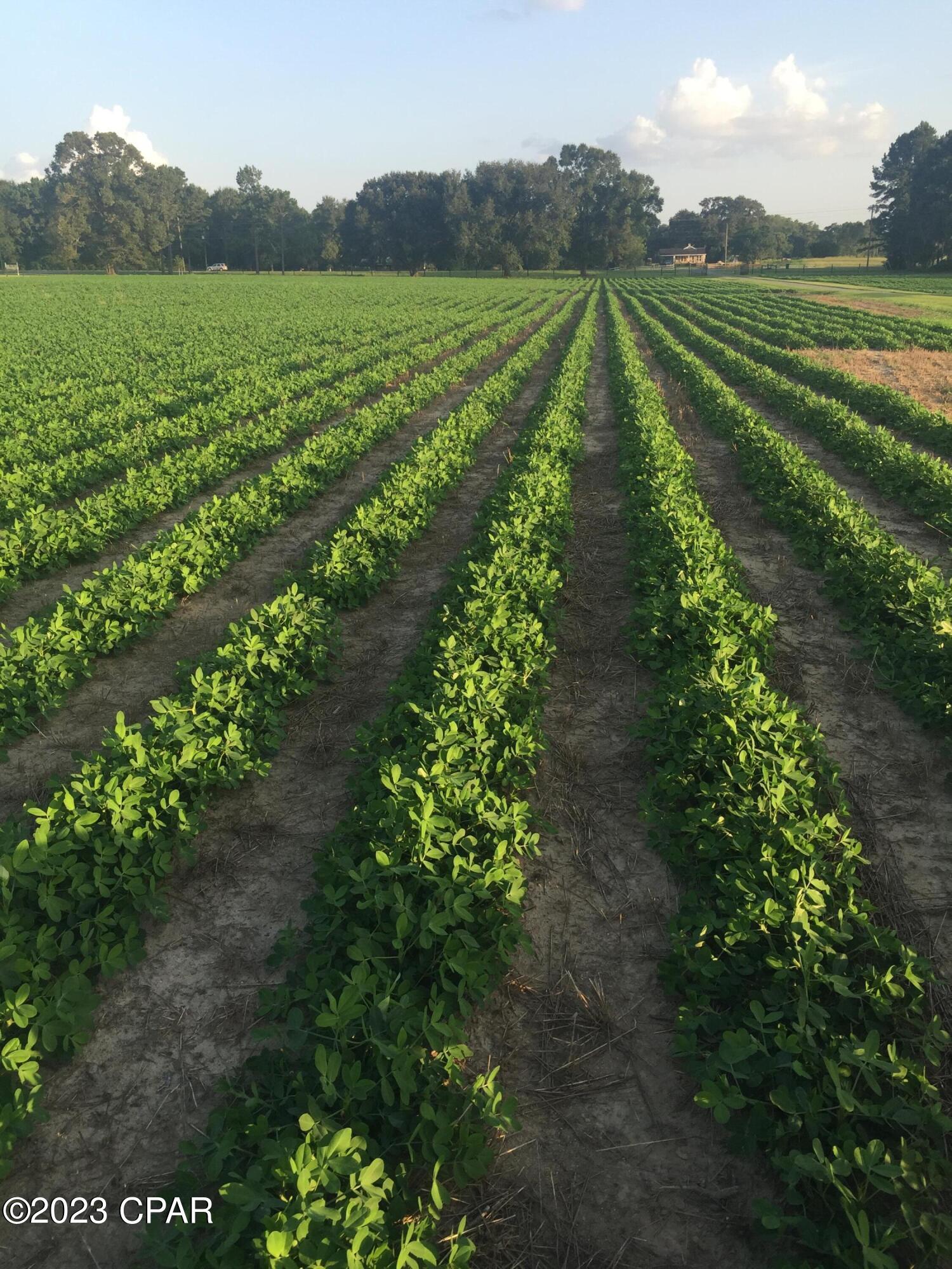 Grand Ridge - Residential