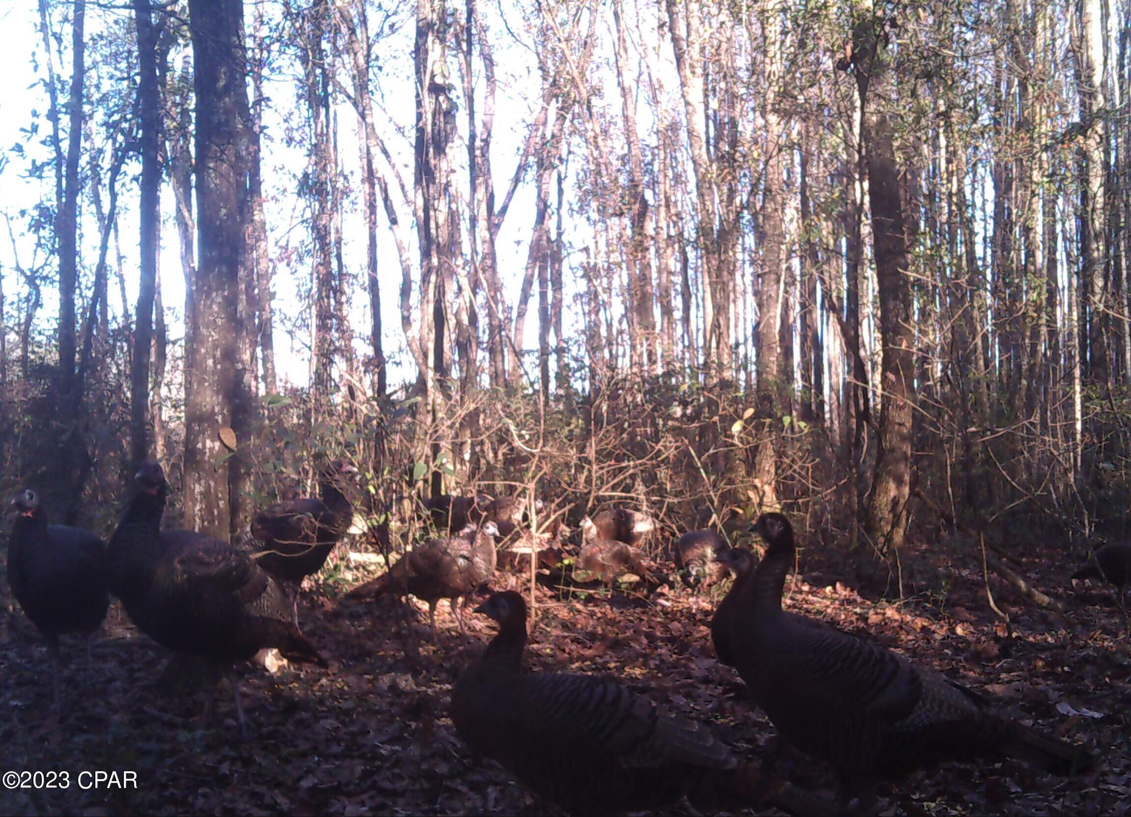 Grand Ridge - Residential