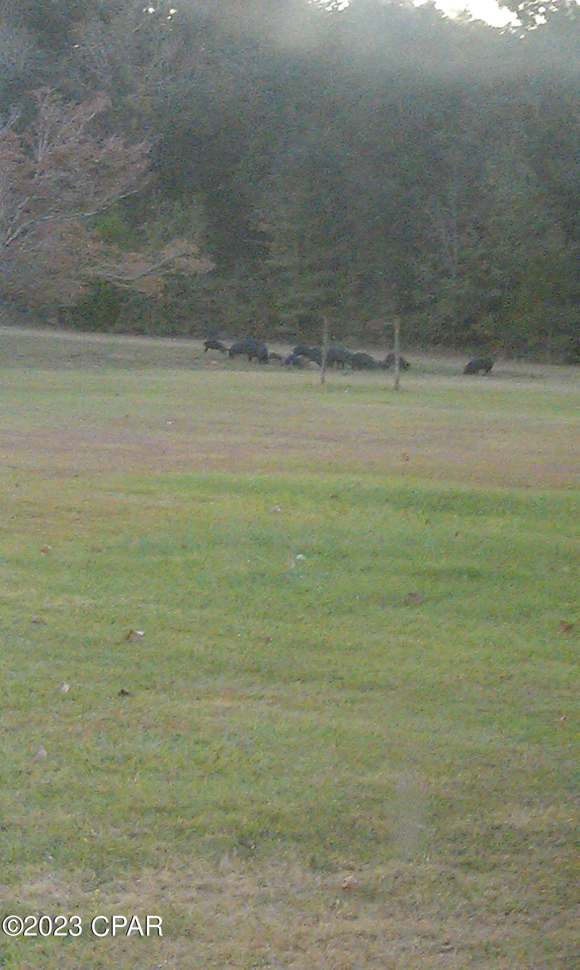 Grand Ridge - Residential