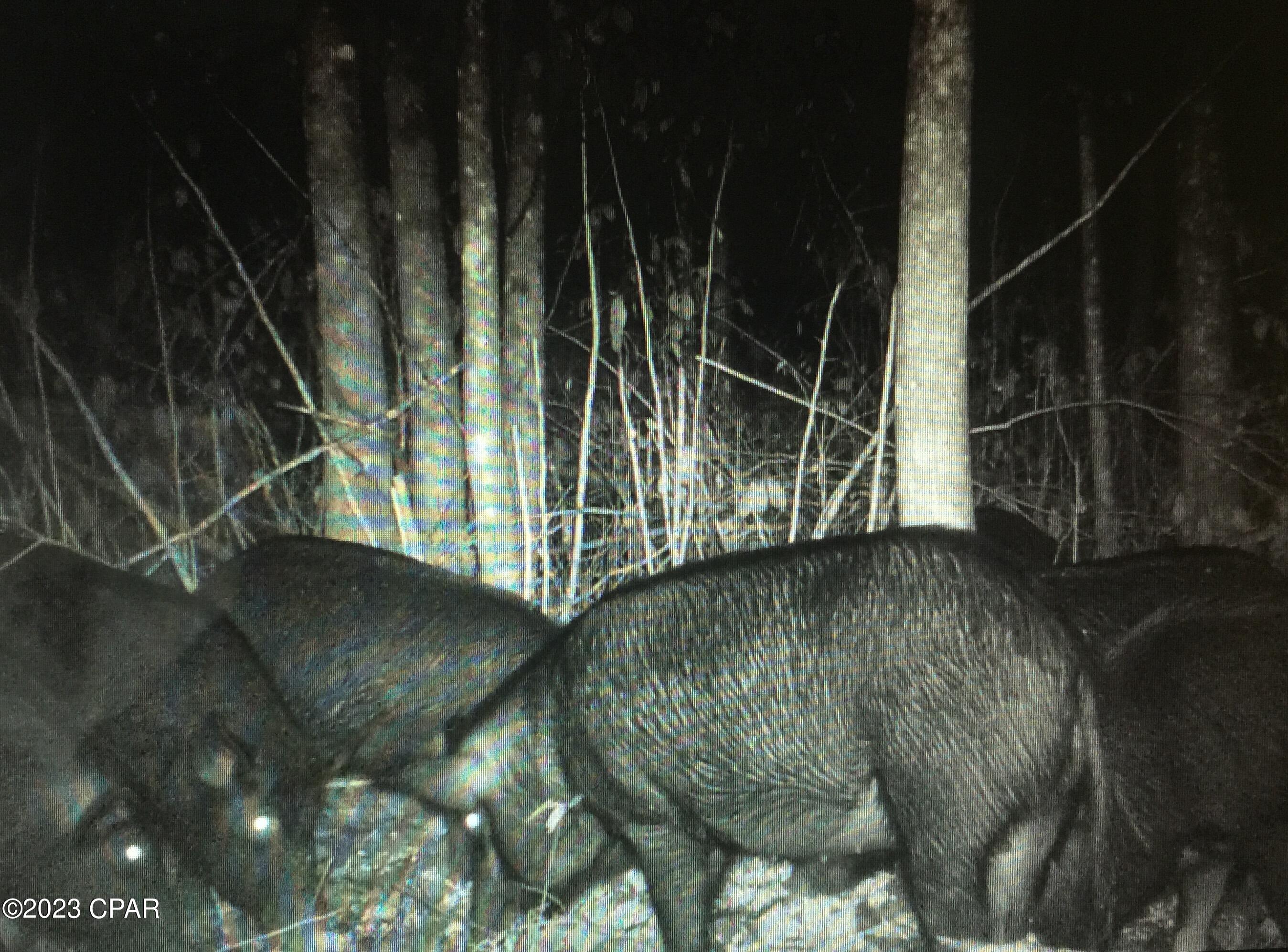 Grand Ridge - Residential