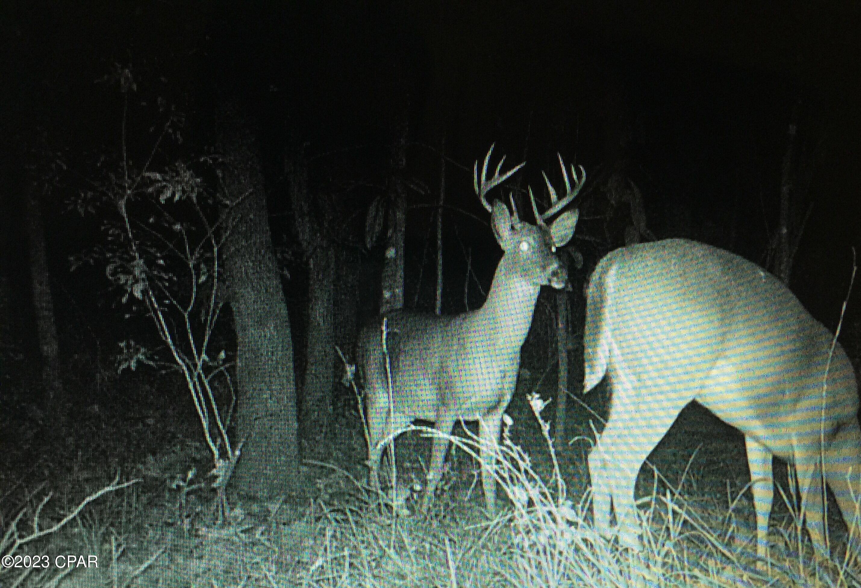 Grand Ridge - Residential