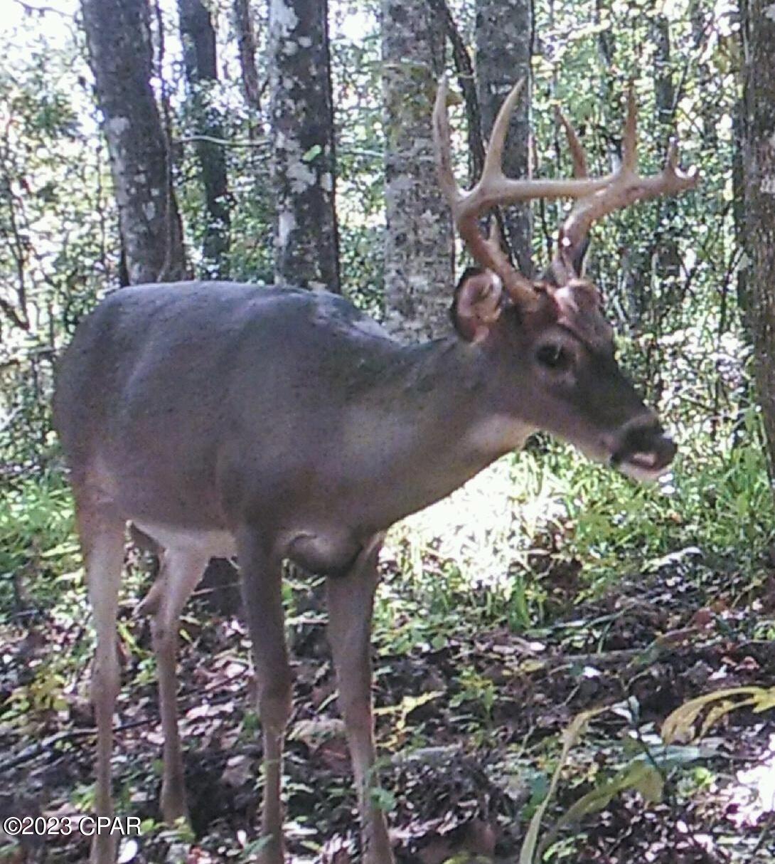 Grand Ridge - Residential