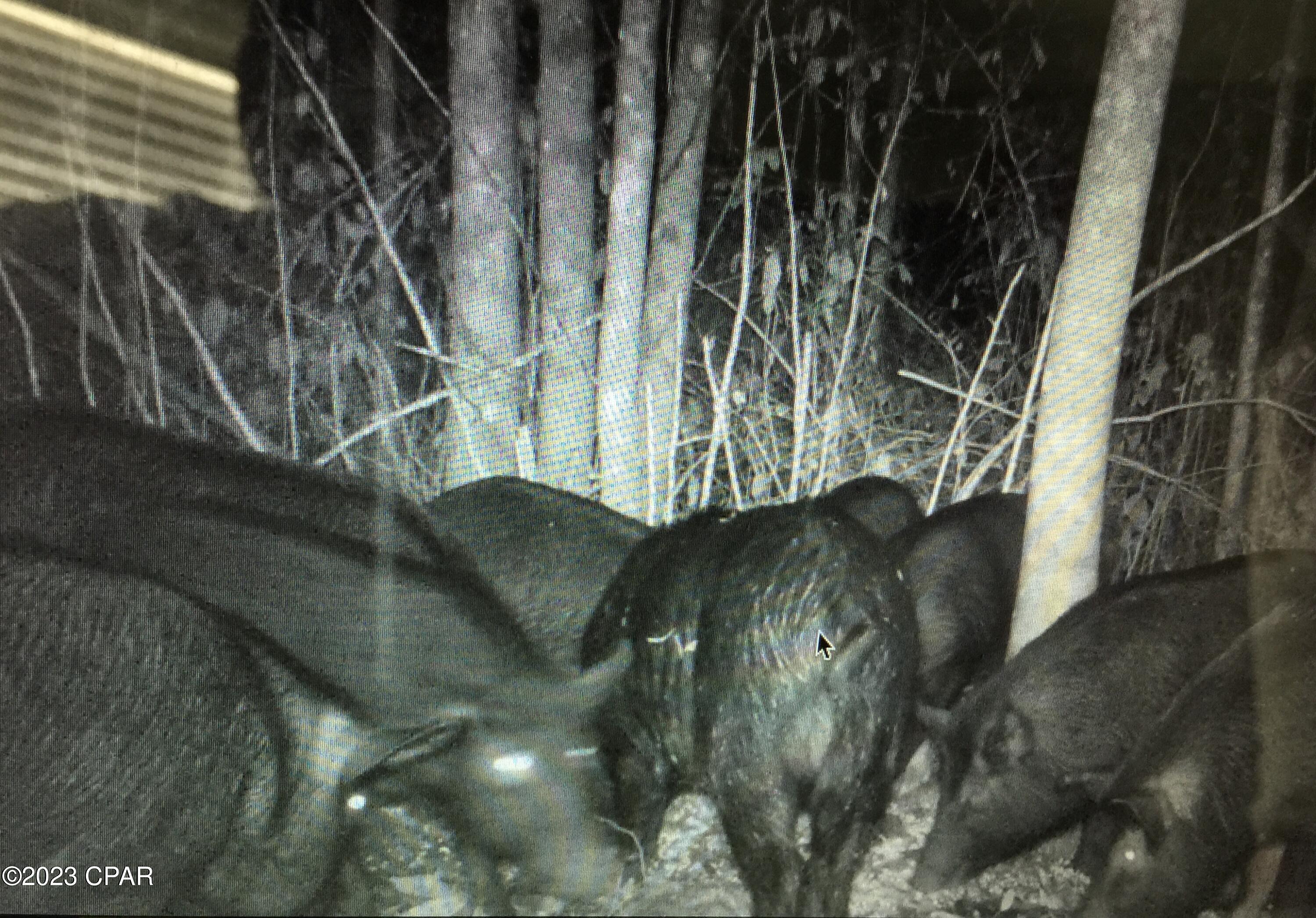 Grand Ridge - Residential