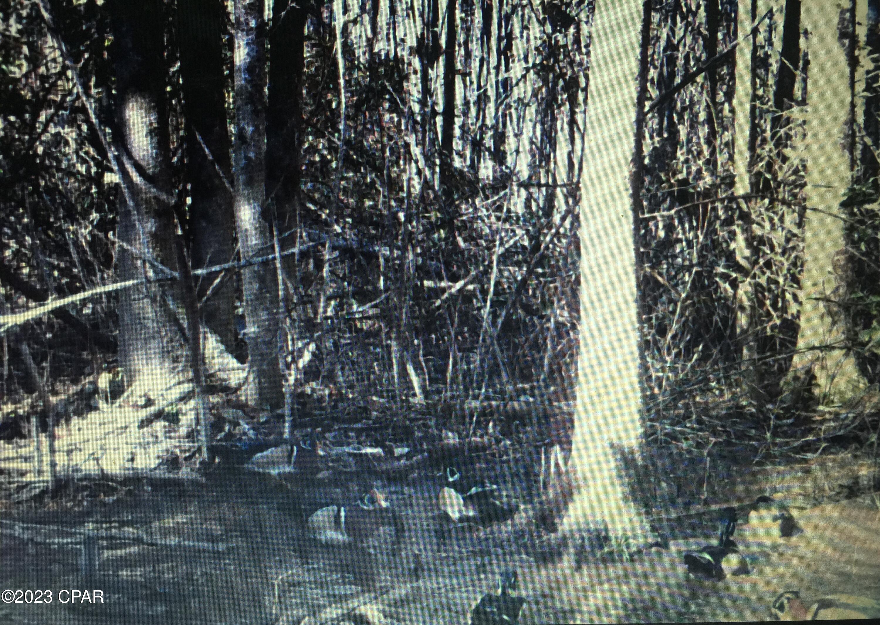 Grand Ridge - Residential