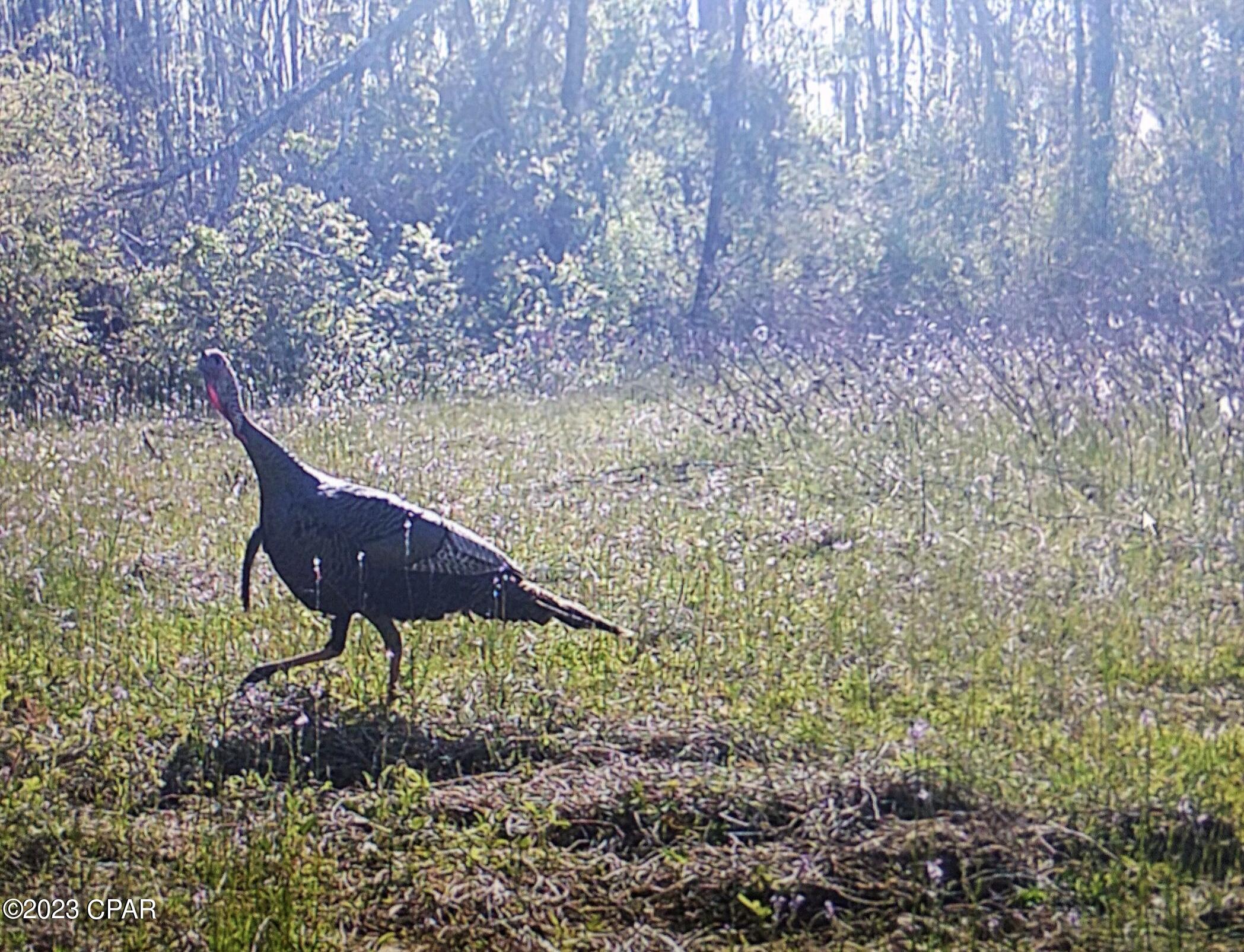 Grand Ridge - Residential