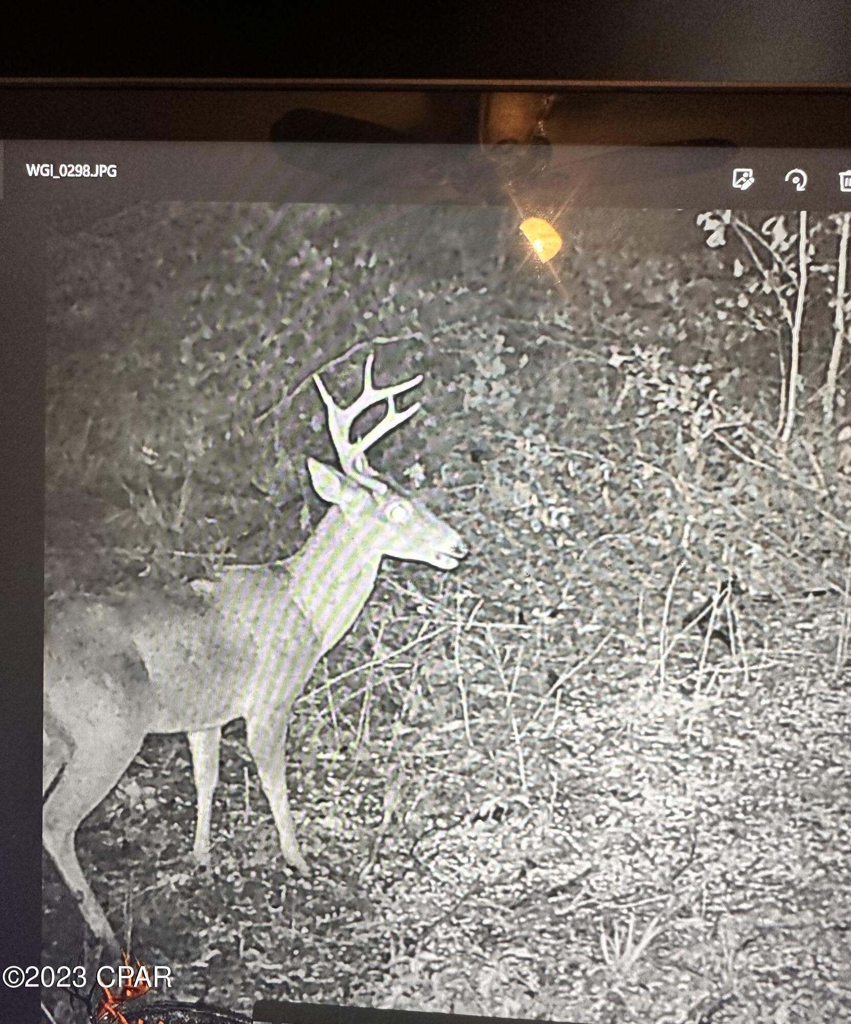 Grand Ridge - Residential