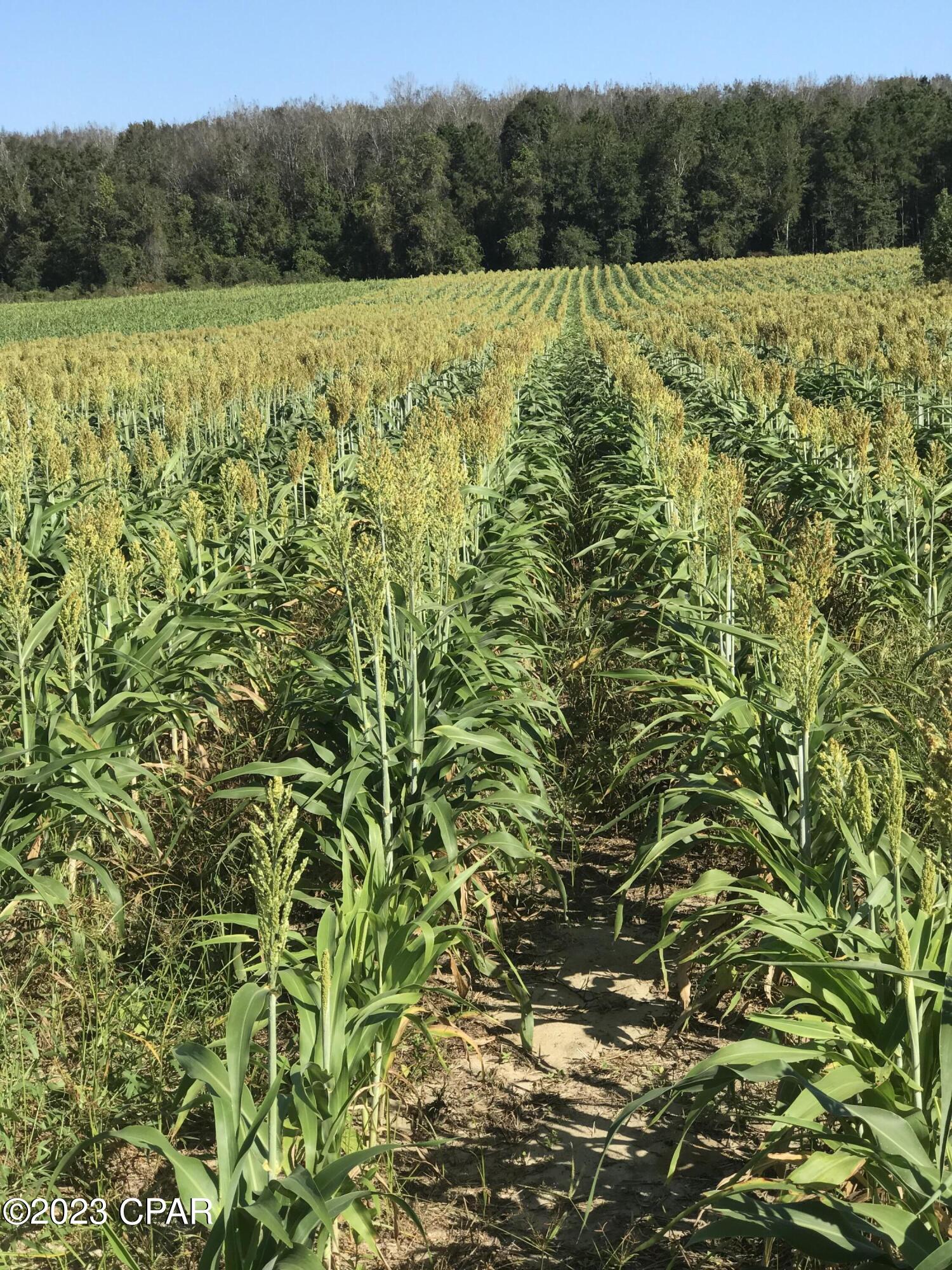 Grand Ridge - Residential