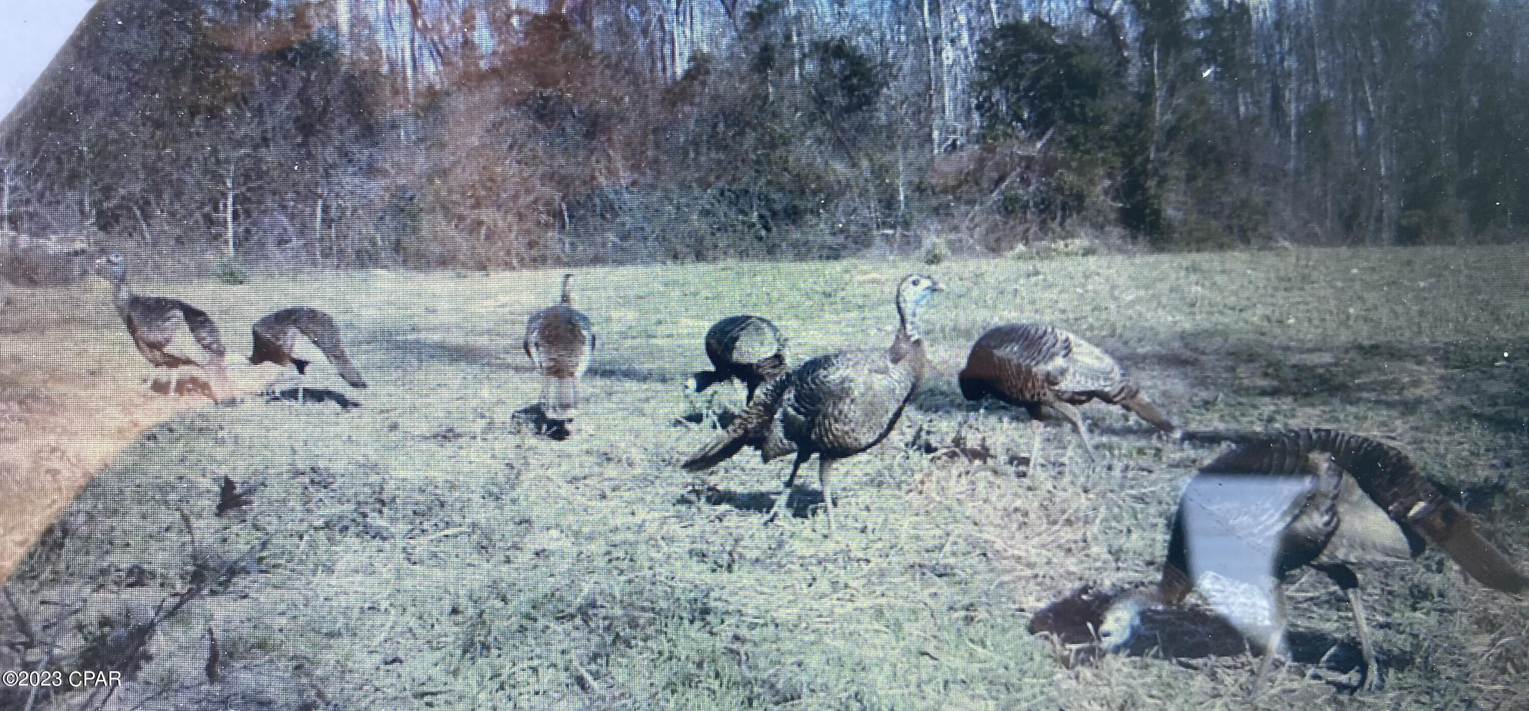 Grand Ridge - Residential