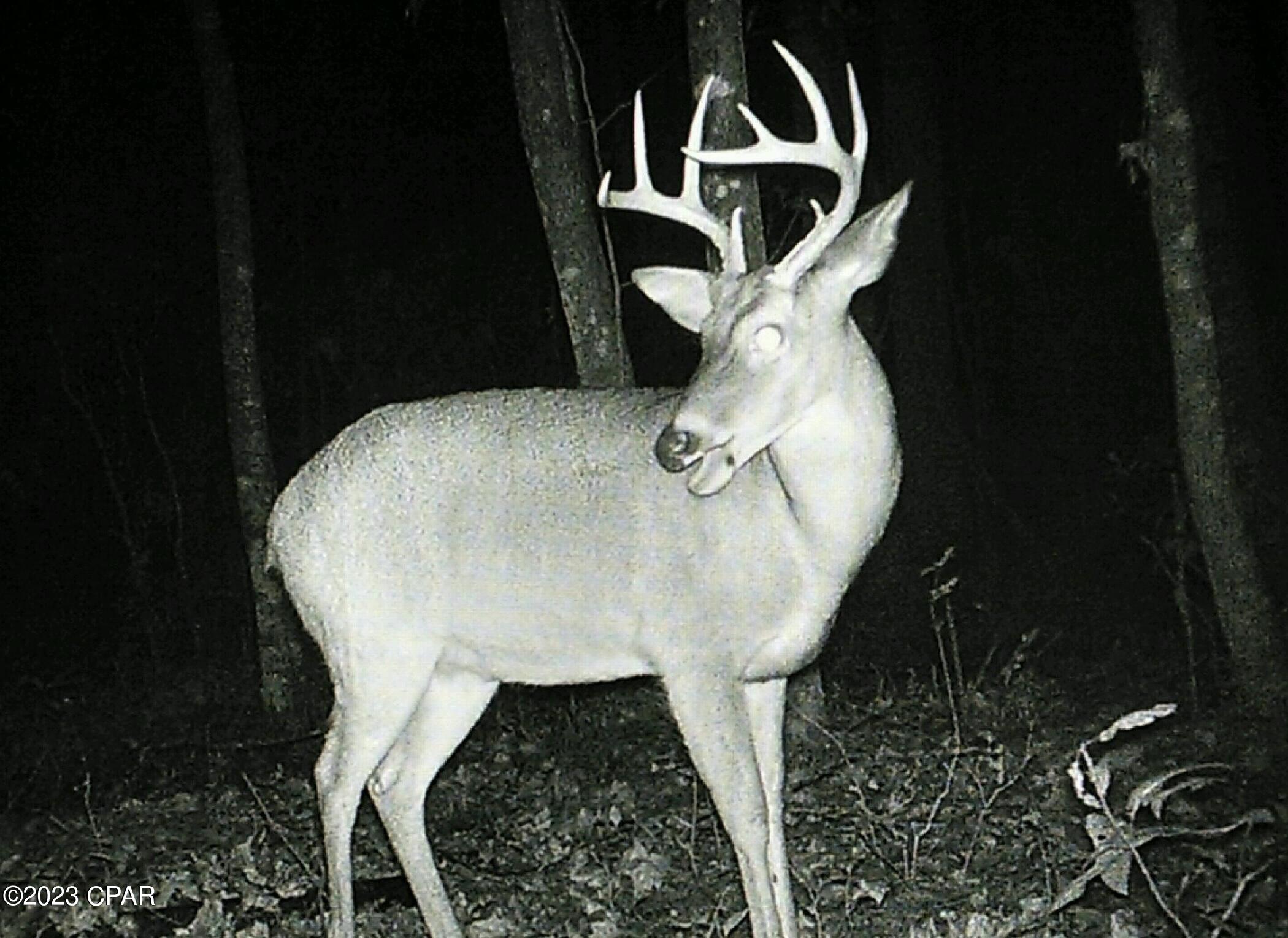 Grand Ridge - Residential