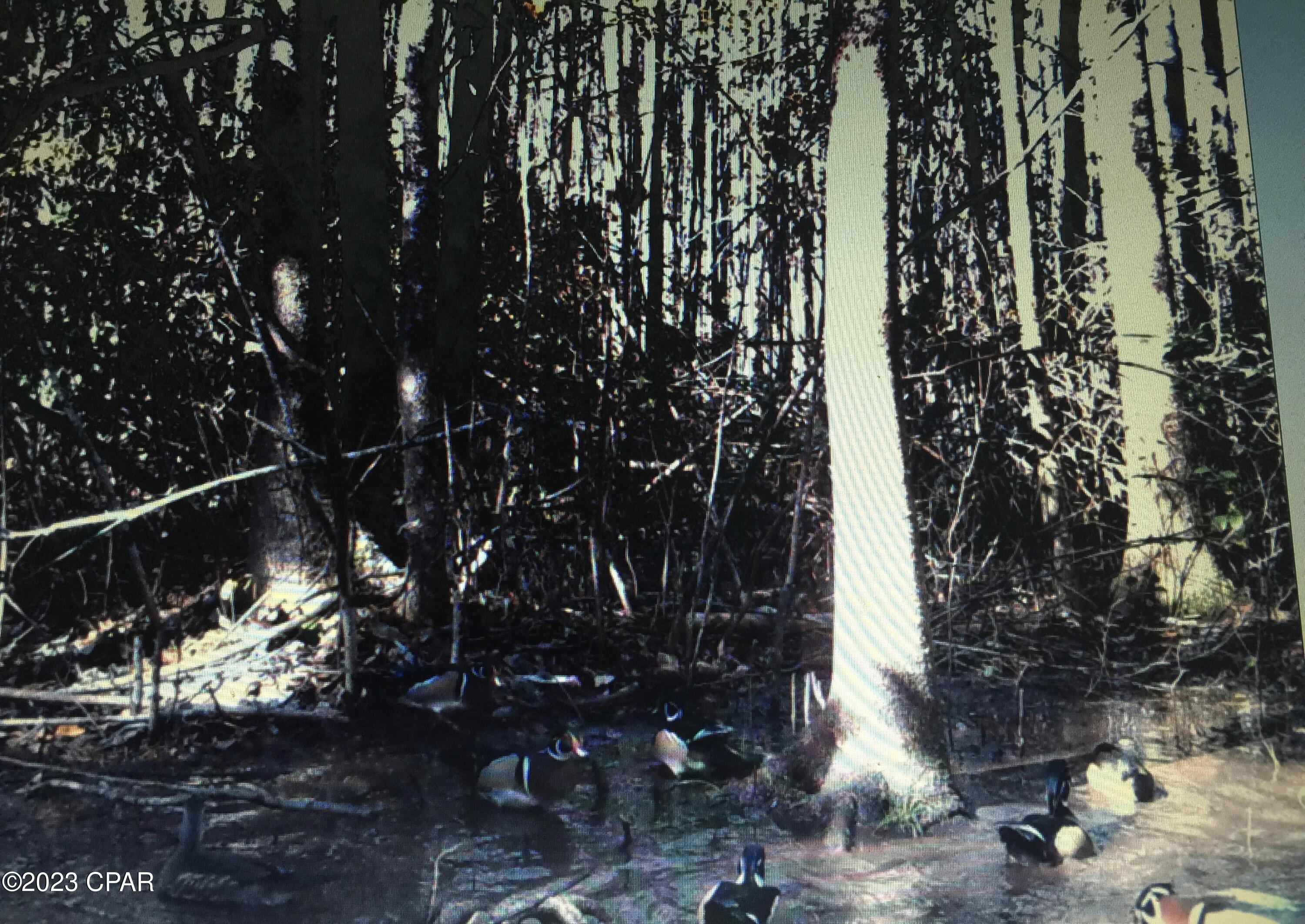 Grand Ridge - Residential