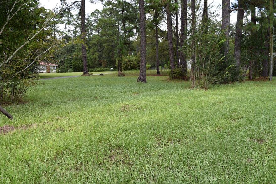 Nice buildable lot located inside city limits and zoned for commercial use. Property has over 325 ft of Hwy 77 frontage.