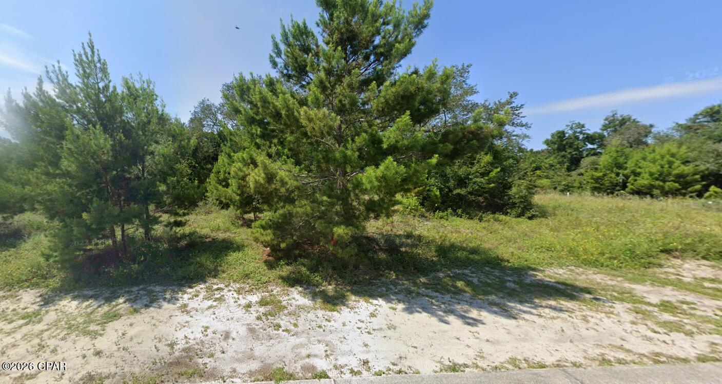 Sanctuary Beach - Land