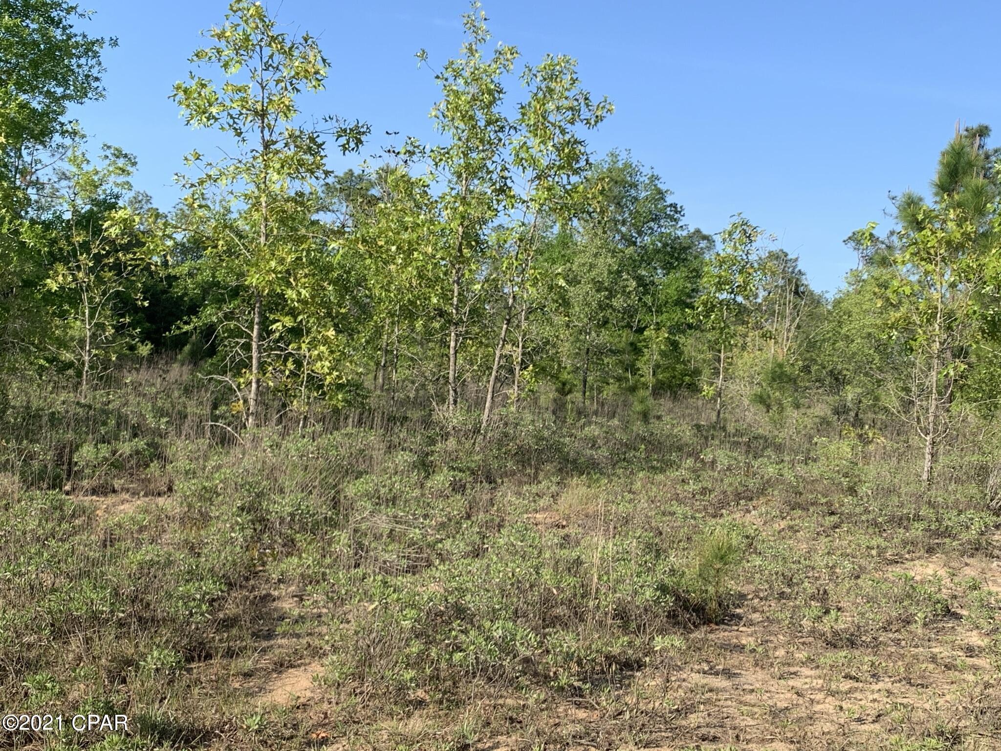 No Named Subdivision - Land