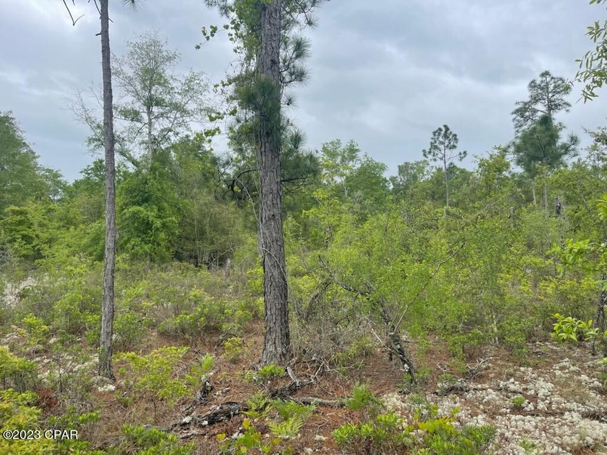 Beautiful homesite just off of pavement with quick access to hwy 231. Owner is dividing his 10 acres and selling the property north of Freeman Rd and South of the driveway that cuts through the property(see photos). The owner will retain a 60 foot strip along the East property line.  Property is approx 10-12 mins from I-10  and approx. 40 mins to Panama City,  FL. Owner is clearing a small area in the center for a homesite and creating a dirt driveway for entry.