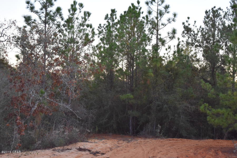 Buckhorn Creek - Land