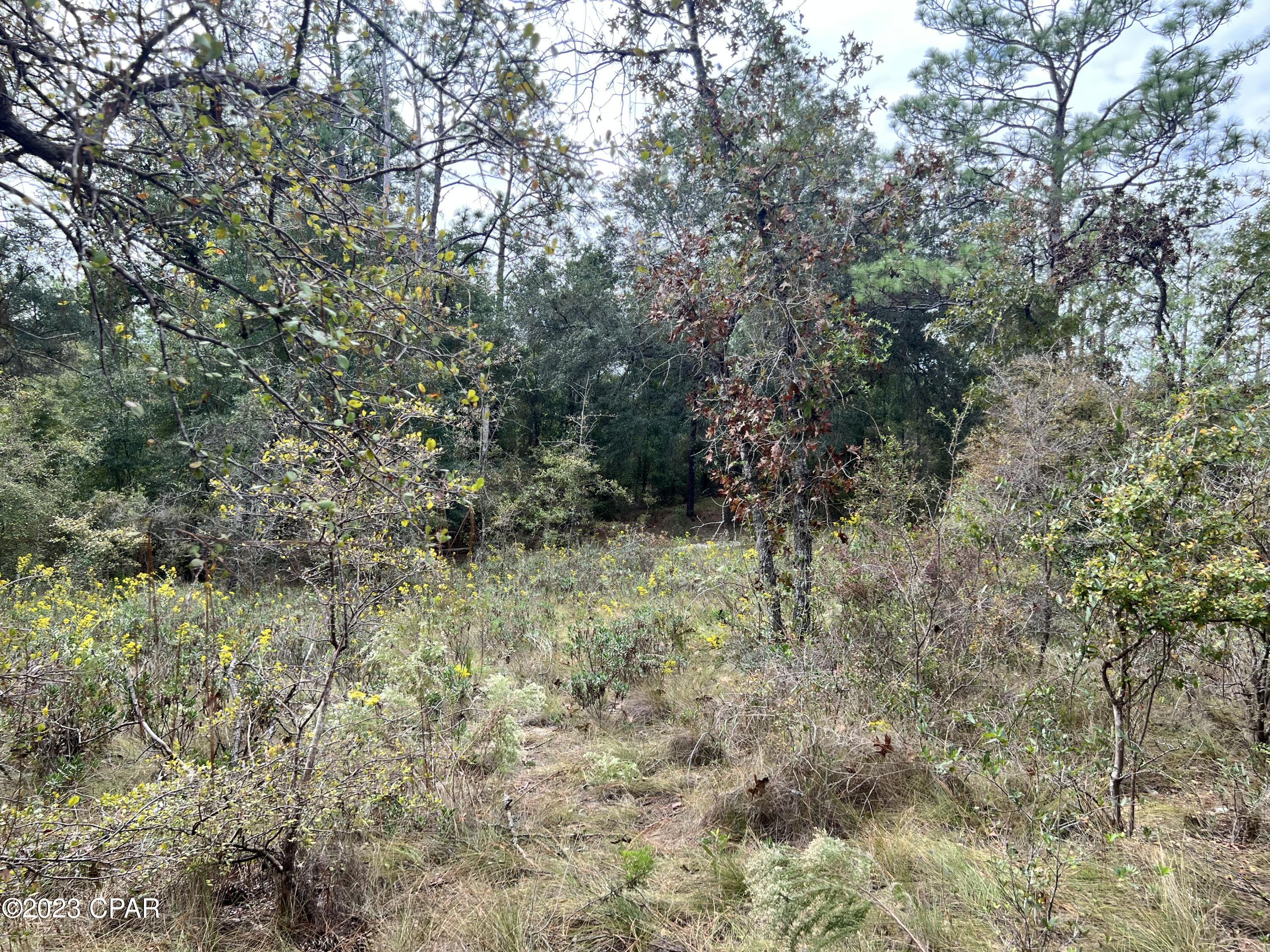 Leisure Lakes - Land