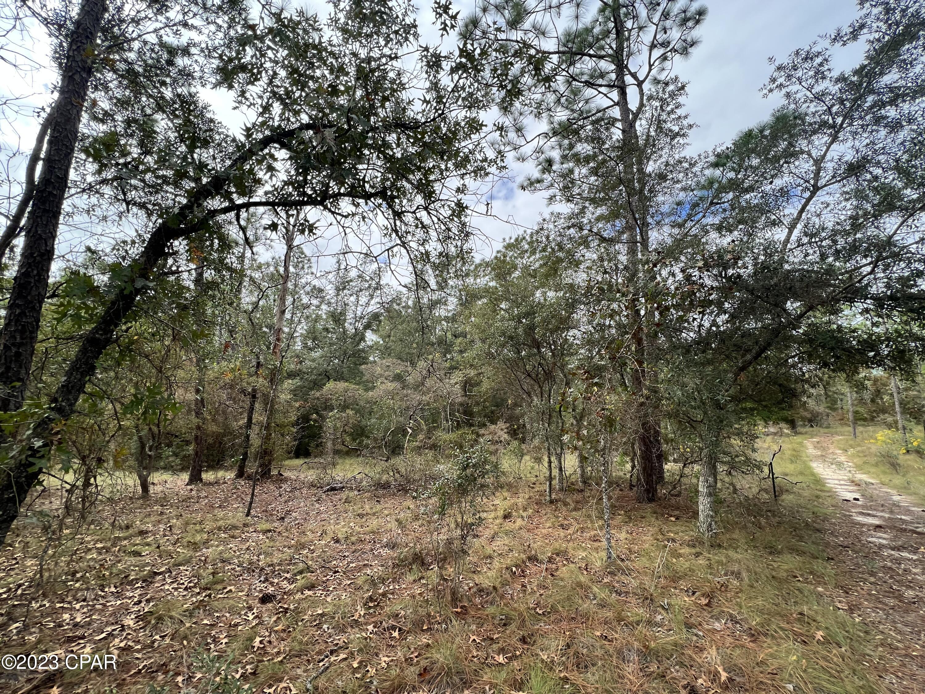 Leisure Lakes - Land