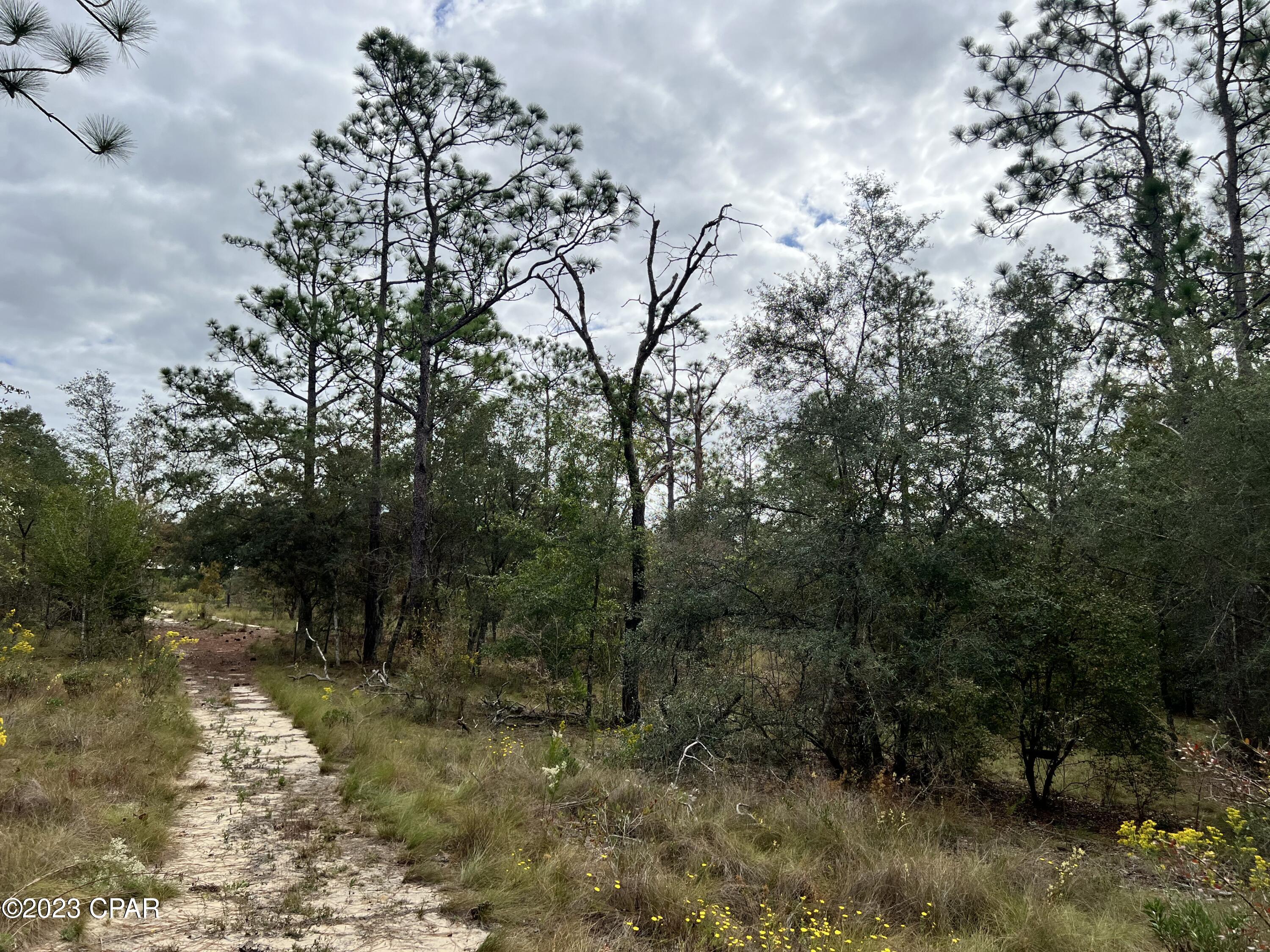 Leisure Lakes - Land