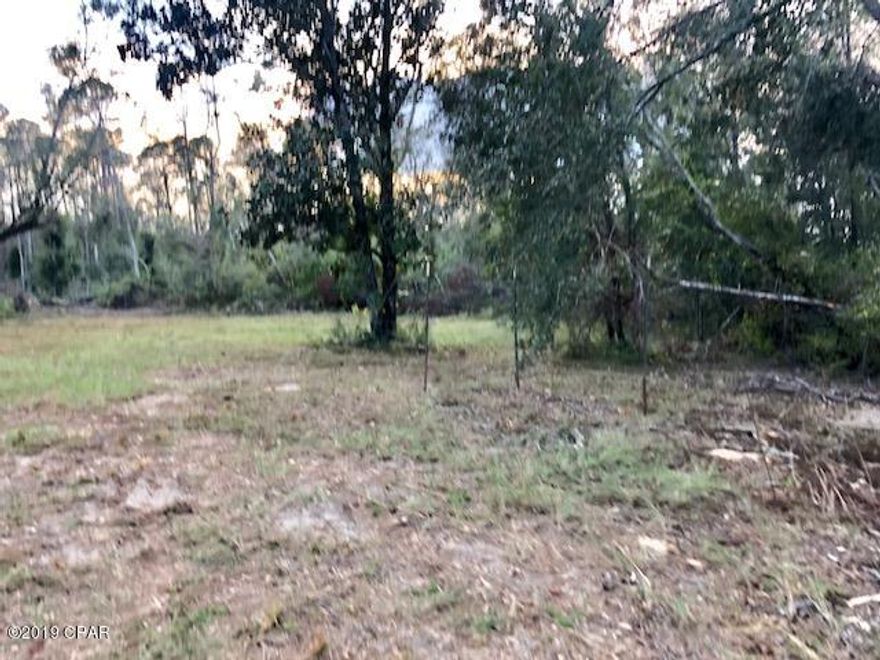 10 Acre homesite with well, septic tank and power pole in place.  Beautiful cleared spot for your house or mobile home.   Very nice property not far from Hwy 231.   There is a meandering creek across the back of the property.   A deer stand already in place!  A unique propery you won't want to miss out on.