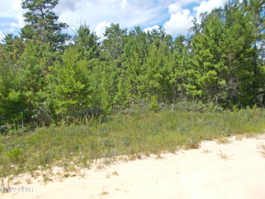 Very nice, wooded lot in Compass Lake Hills subdivision, the owner says there is a small wet weather stream on the back of the property, there is a voluntary 135. annual fee to use the amenities of Compass Lake in the Hills.