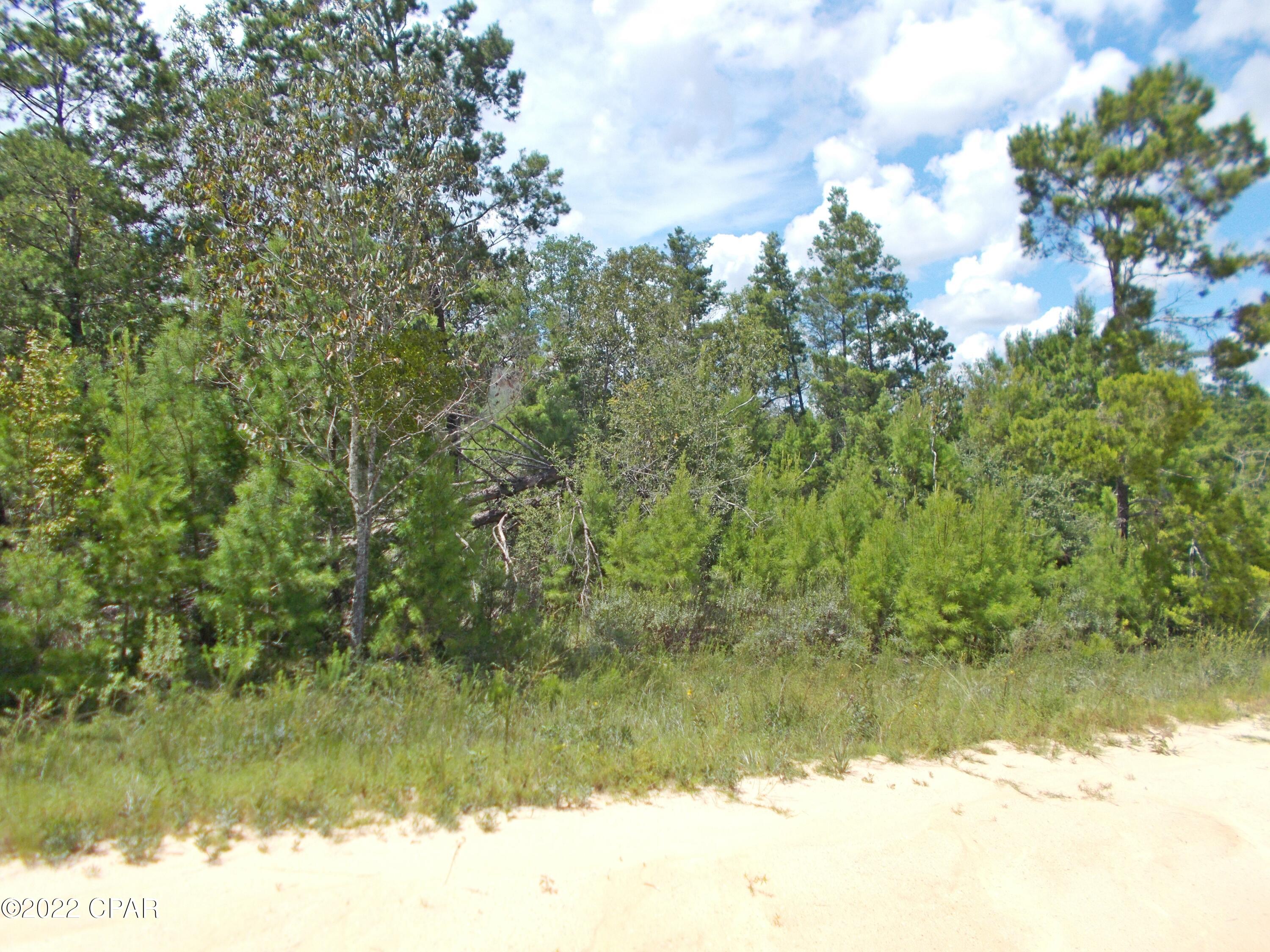 Compass Lake Hills Unit 5 - Land