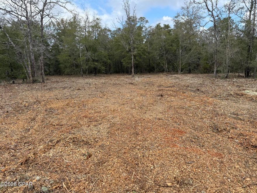 Build your dream home or secure a smart investment with this oversized vacant lot in the growing community of Sunny Hills. Spanning over half an acre, this property offers ample space and flexibility to bring your vision to life. Surrounded by newer construction homes yet tucked away from major roadways, it strikes the perfect balance between neighborhood growth and peaceful privacy.

Enjoy easy access via paved roads and convenient connections to major highways, placing the Gulf Coast's beaches, shopping, and dining just a short drive away. Outdoor enthusiasts will appreciate the abundance of nearby public boat ramps, freshwater fishing, and thousands of acres managed by the Northwest Florida Water Management District, ideal for recreation, sports, and exploring nature.

Sunny Hills is on the rise as a sought-after area, featuring family parks, a golf course, and expanding amenities. Don't miss this opportunity to claim your place in one of the fastest-growing areas of the Florida Panhandle.