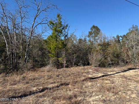 000 Birwood Court Chipley FL 32428