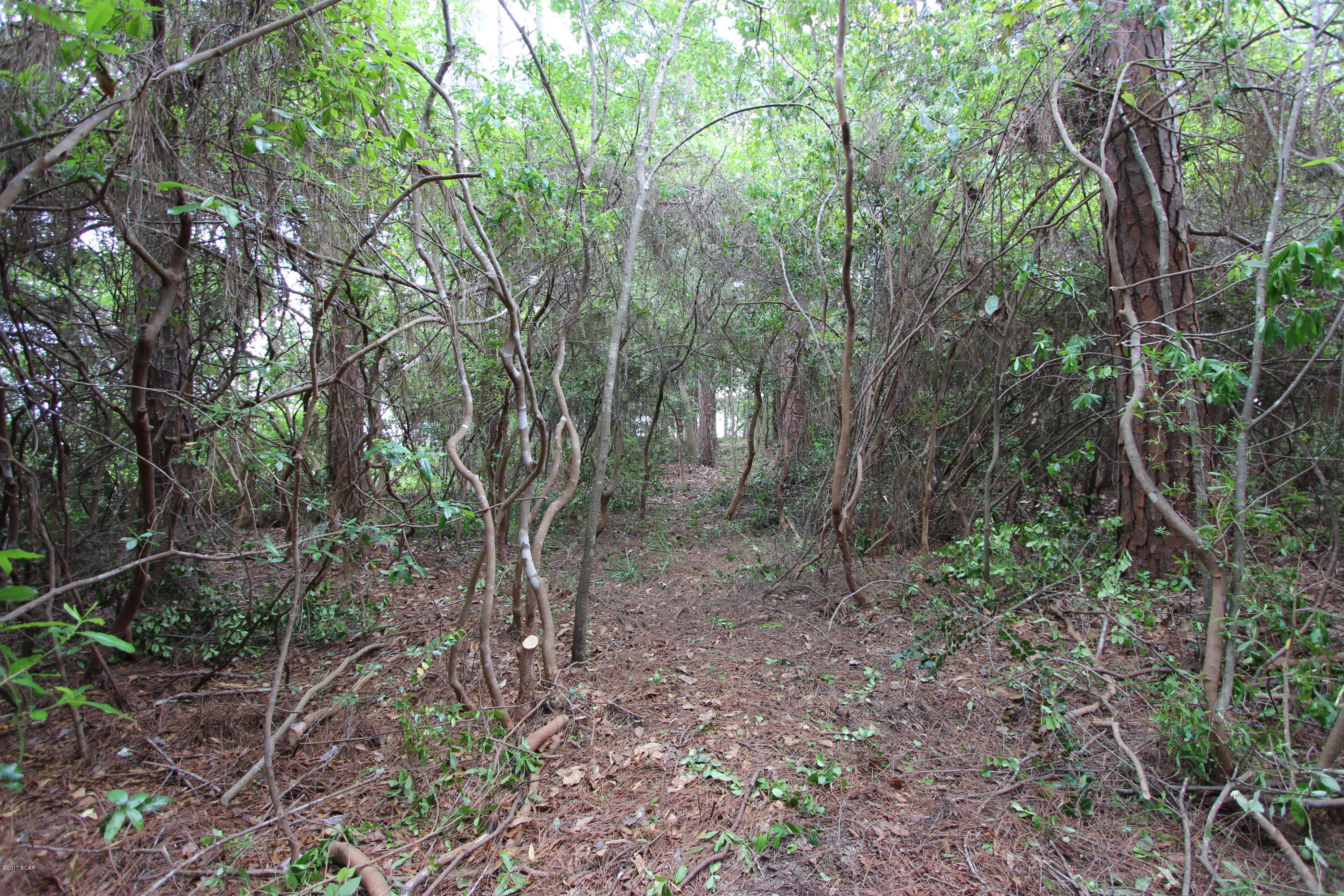 No Named Subdivision - Land