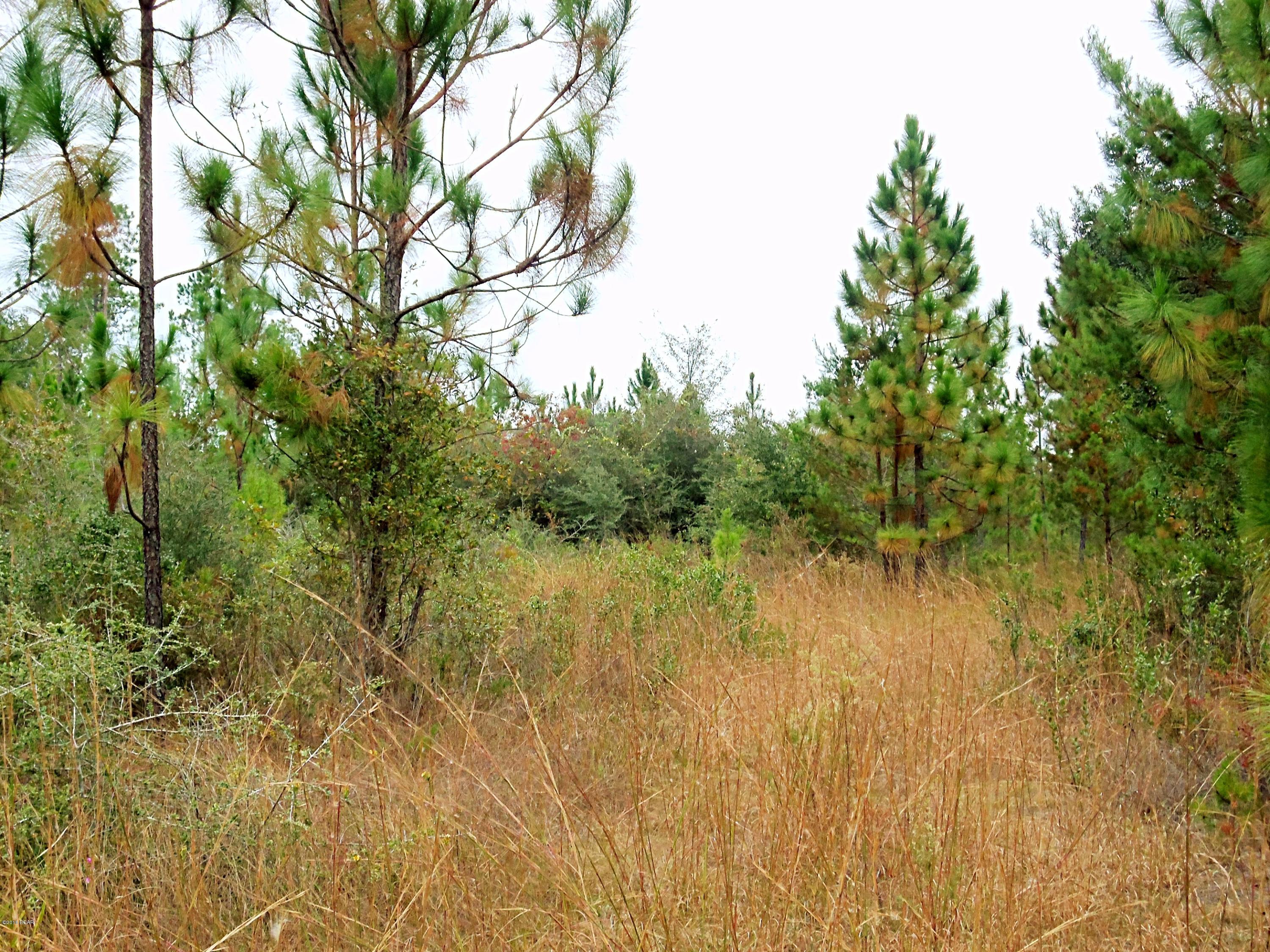 No Named Subdivision - Land