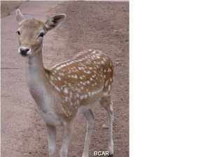 East Bay Point - Residential Lease