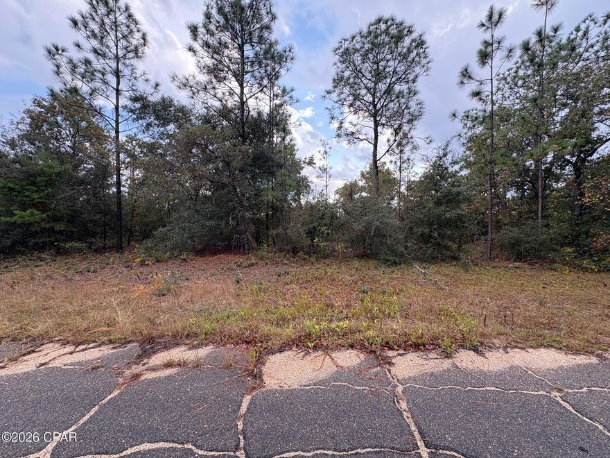 Take advantage of this exceptional opportunity to own an oversized .55 acre building lot in Unit 5 of Sunny Hills, located at Lot 24 on Pinellas Drive. Larger than many standard parcels in the community, this lightly treed, flat, and level lot offers outstanding flexibility for your future home.

Situated in a section of Sunny Hills with a mix of existing homes and new construction nearby, this property offers the perfect balance of established presence and future upside. While Pinellas Drive itself has not yet been developed, surrounding activity indicates continued expansion throughout the area making this an attractive option for both builders and long term investors.

The level topography allows for easier site preparation and building efficiency, helping reduce potential development costs. If you're planning to secure land at bargain pricing for future construction, this parcel offers strong value in a community that continues to gain attention.

Sunny Hills provides convenient access to Highway 77, with Chipley just minutes north and Panama City and the Gulf Coast beaches approximately 30 minutes south. Invest in space, flexibility, and future growth today.