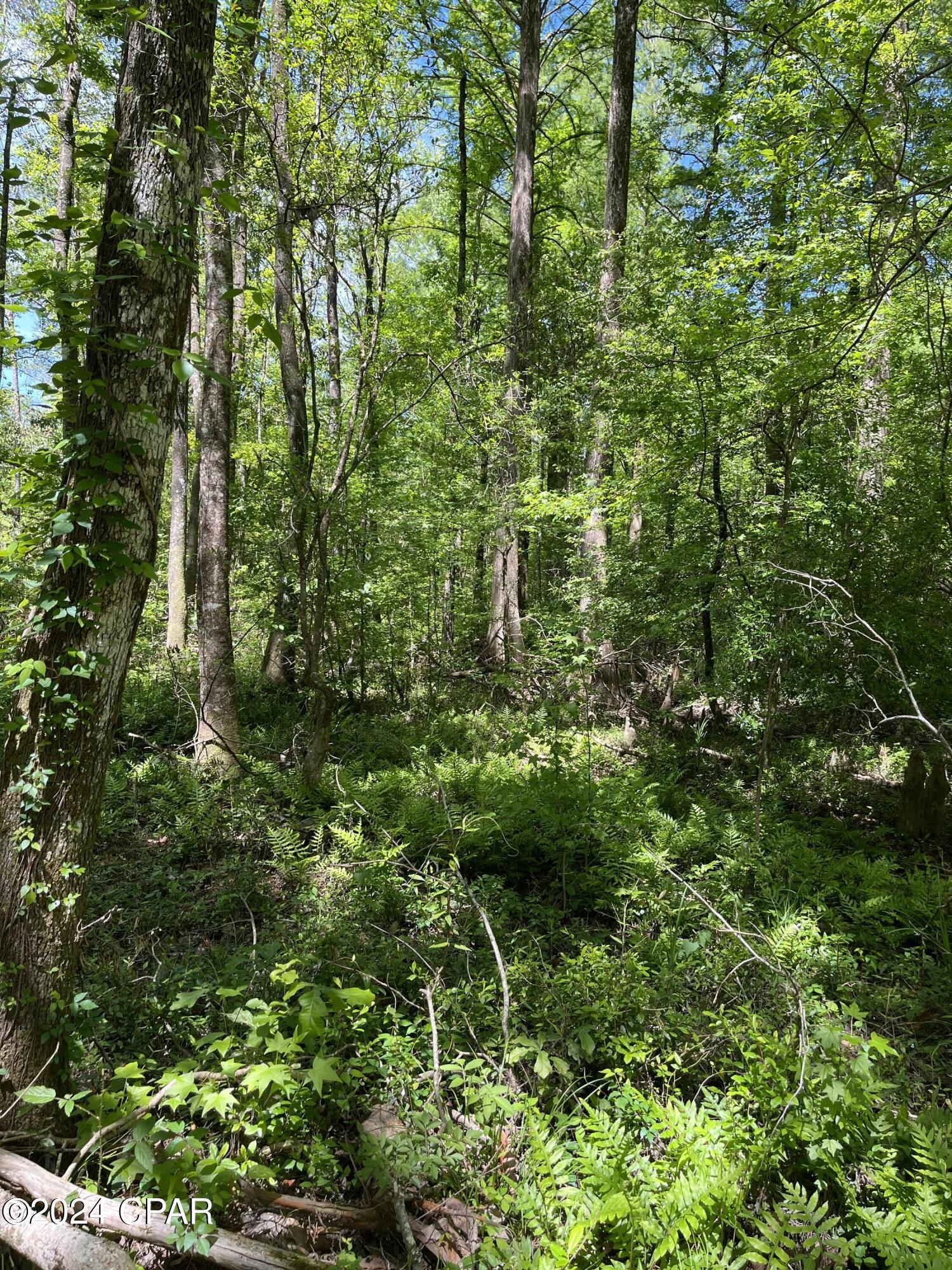 [No Recorded Subdiv] - Land