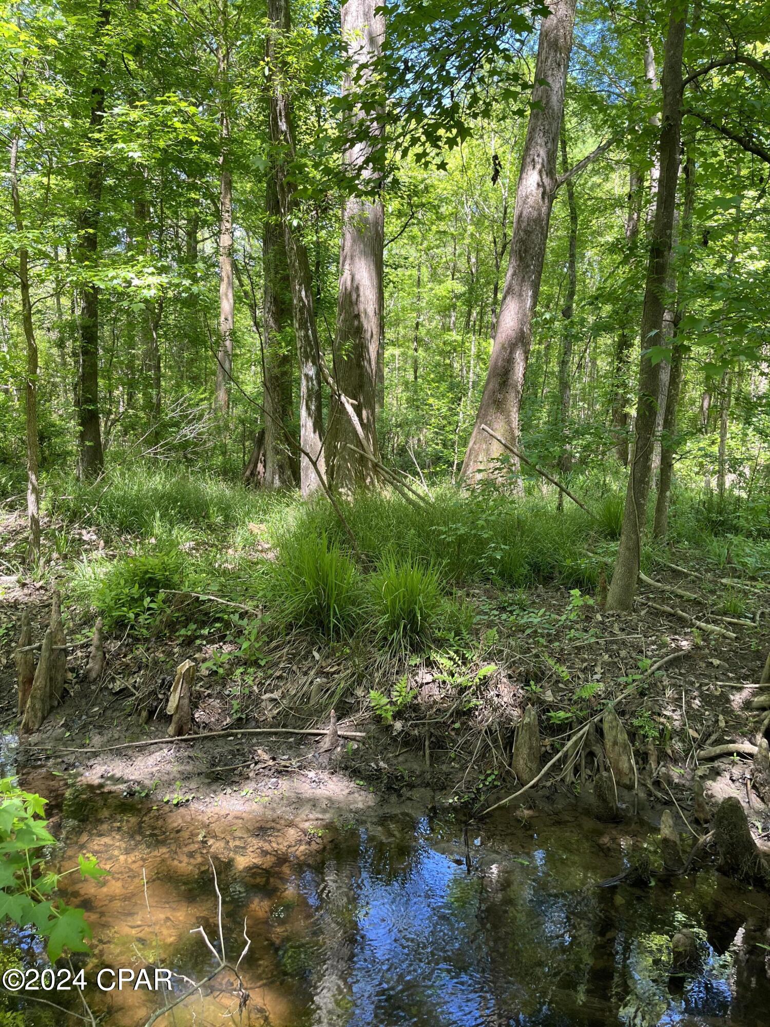 [No Recorded Subdiv] - Land