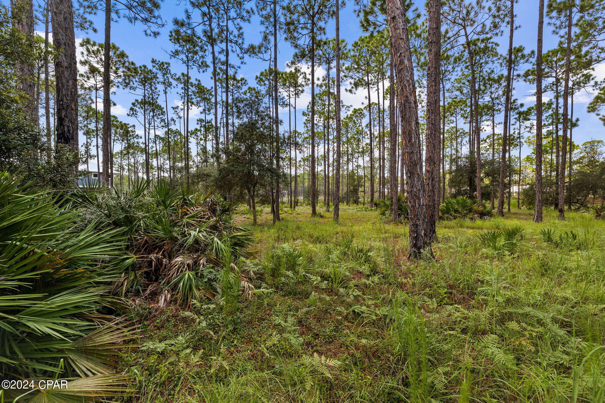 Rivercamps On Crooked Creek Ph 2 - Land