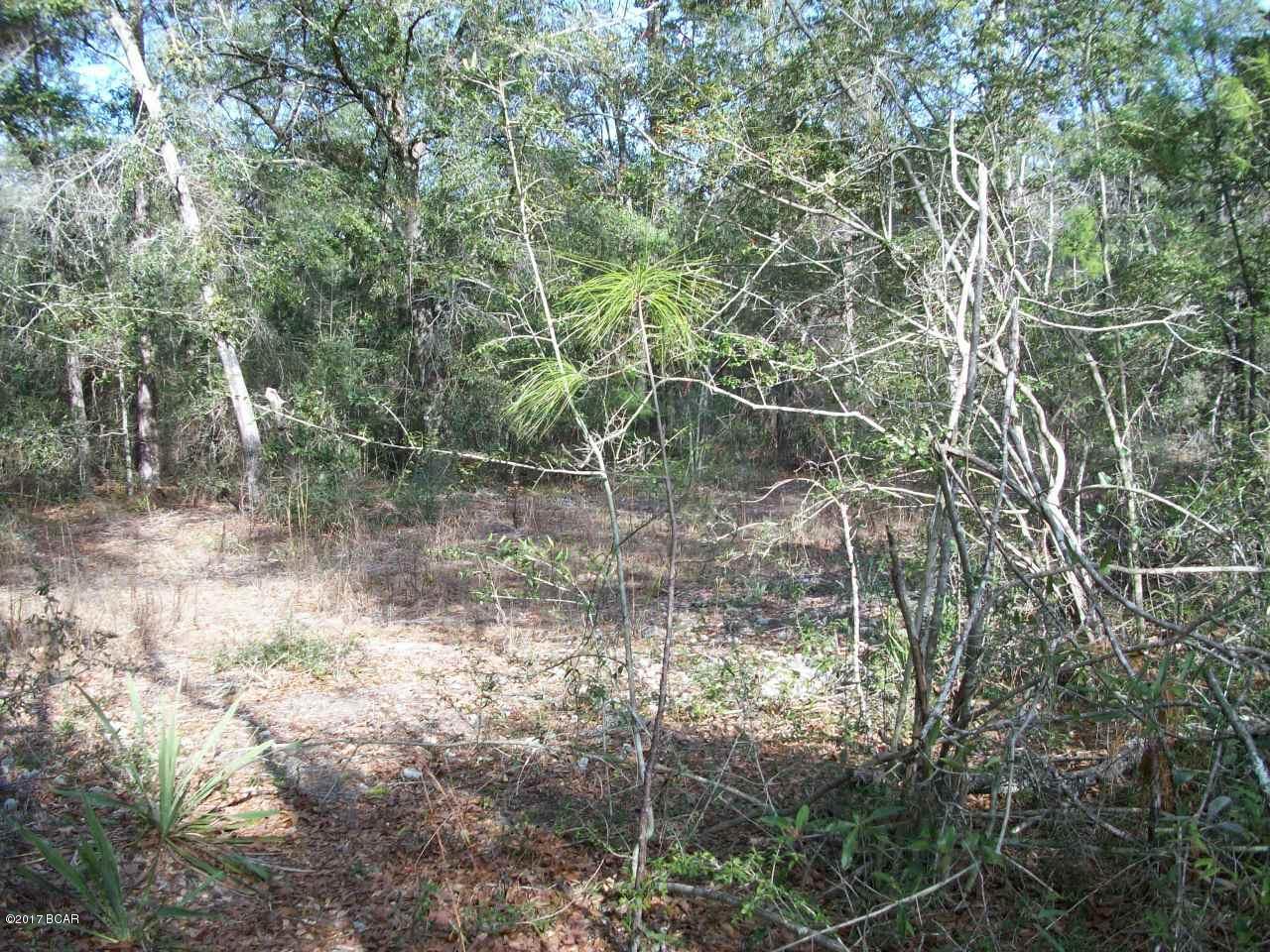 Oakwood Hills Unit 5 - Land