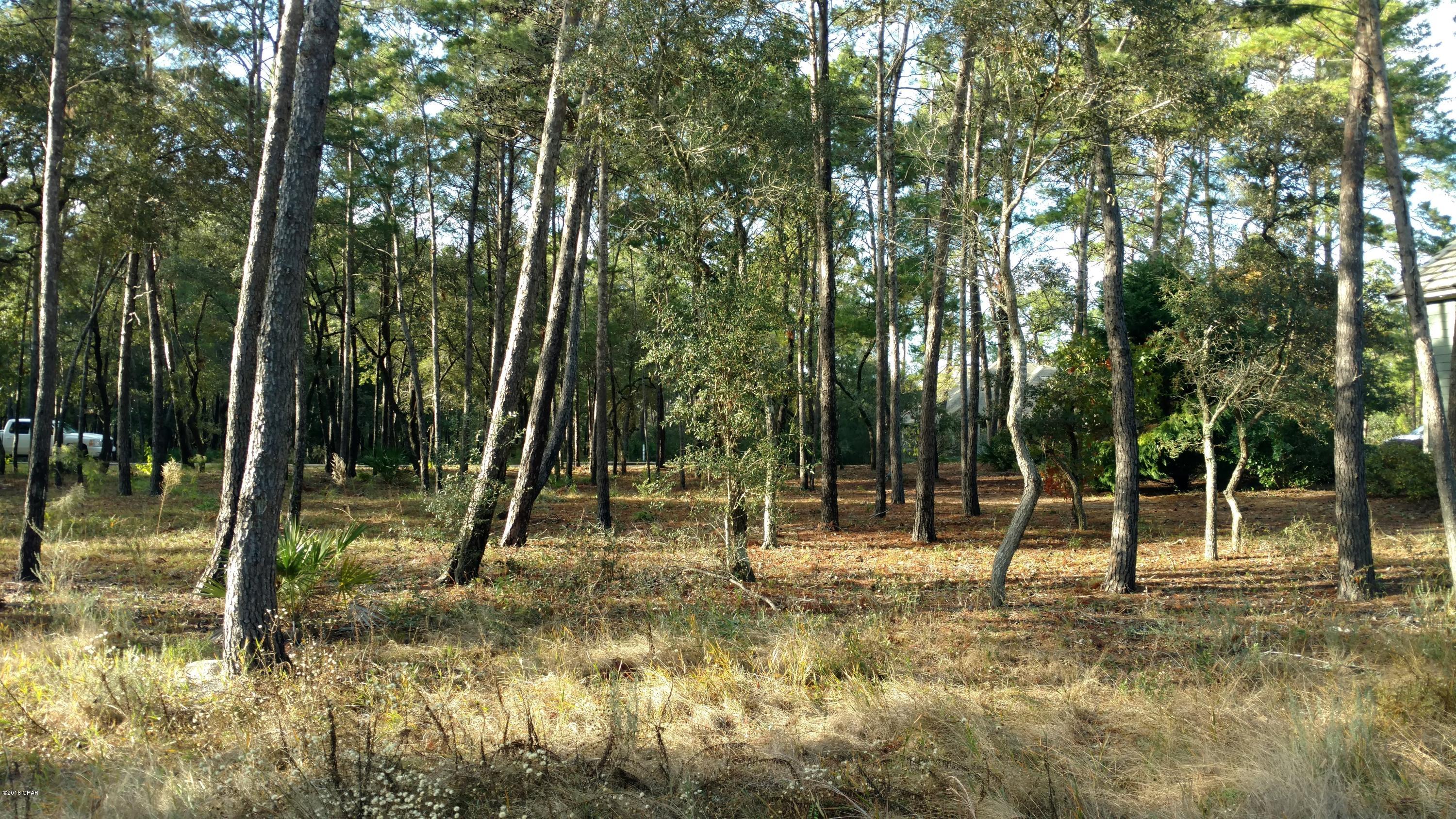 Wild Heron Phase V - Land