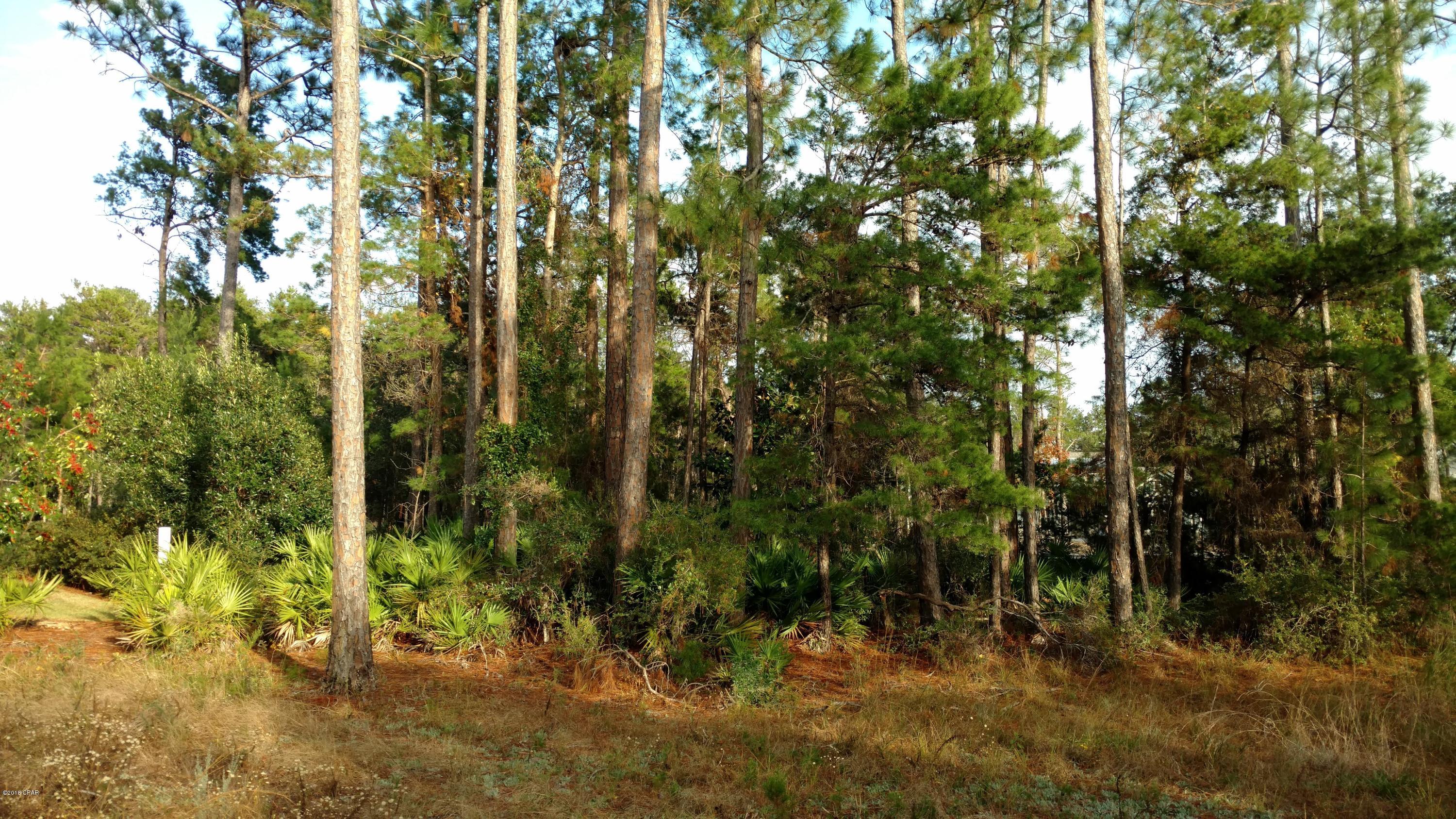Wild Heron Phase V - Land