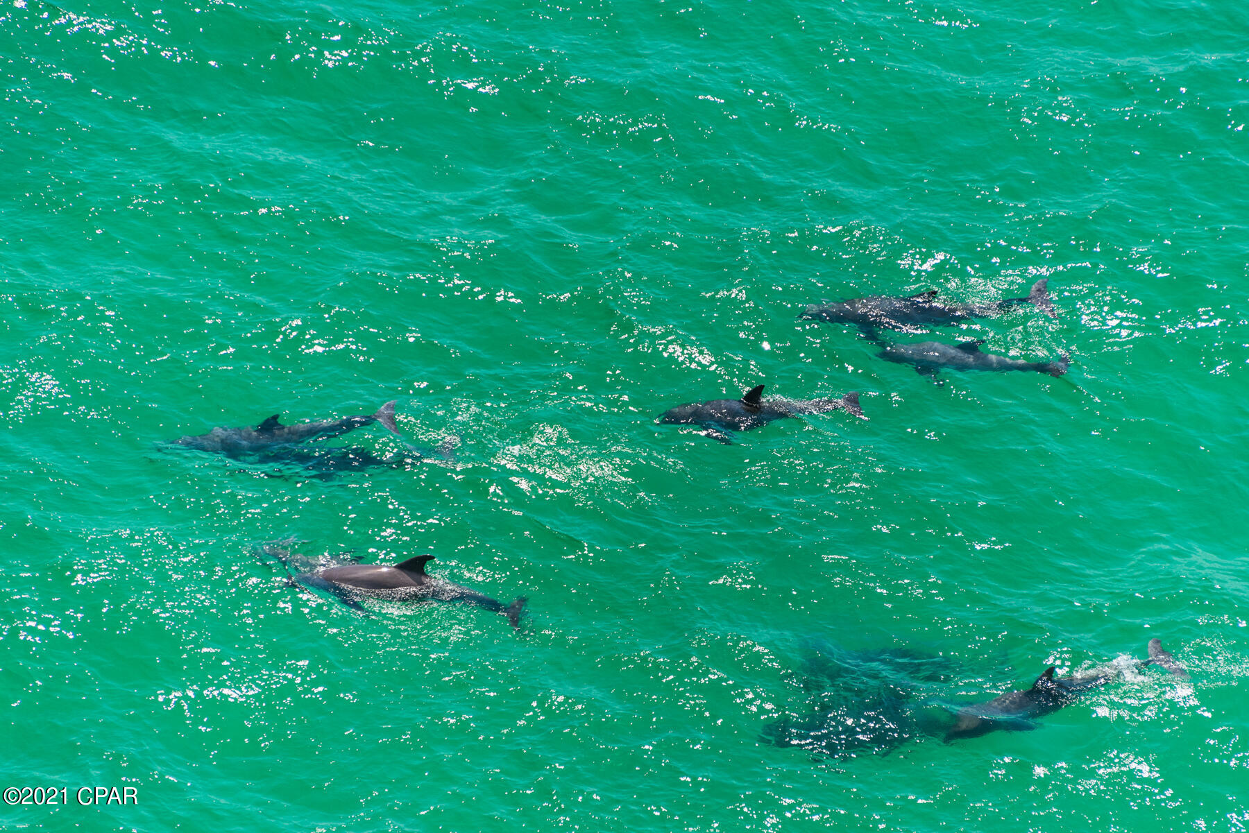 Calypso Towers II - Residential