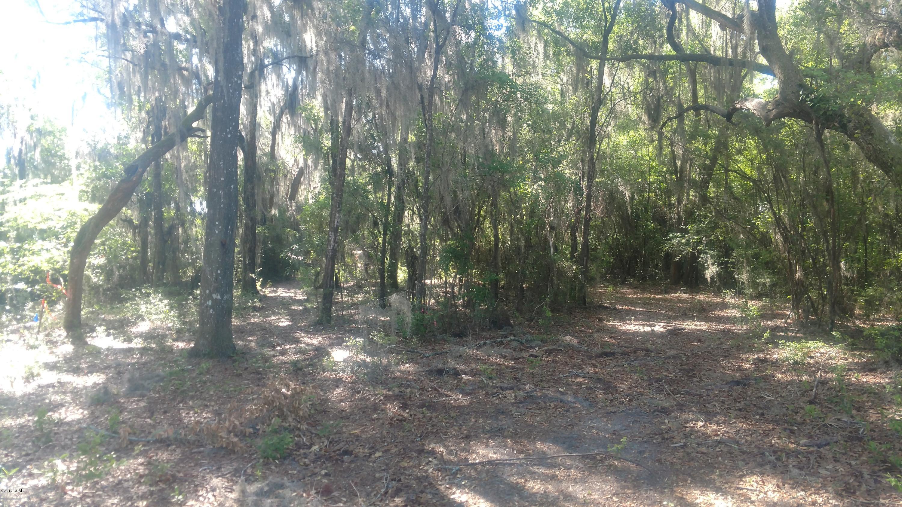 Cedar Creek At Deerpoint Lake - Land