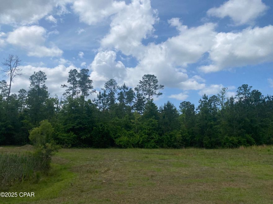 9.72 acres in Blue Spring Plantation subdivision.