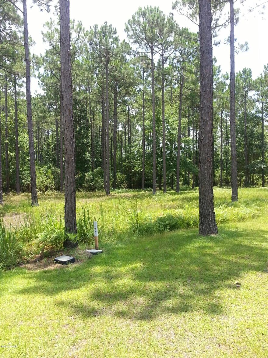 What an opportunity to purchase this lot at this price!  This .86 acre lot centrally located in the beautiful RiverCamps Community is a real value! Lot in Flood Zone AE.