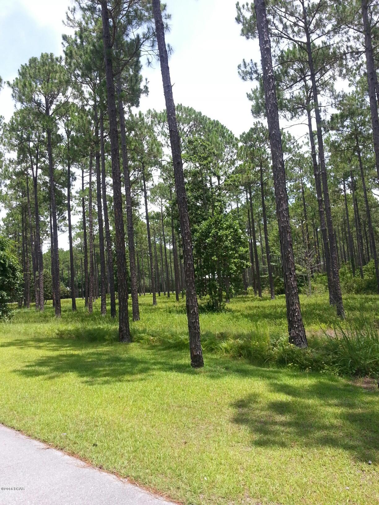 Rivercamps On Crooked Creek Ph 2 - Land