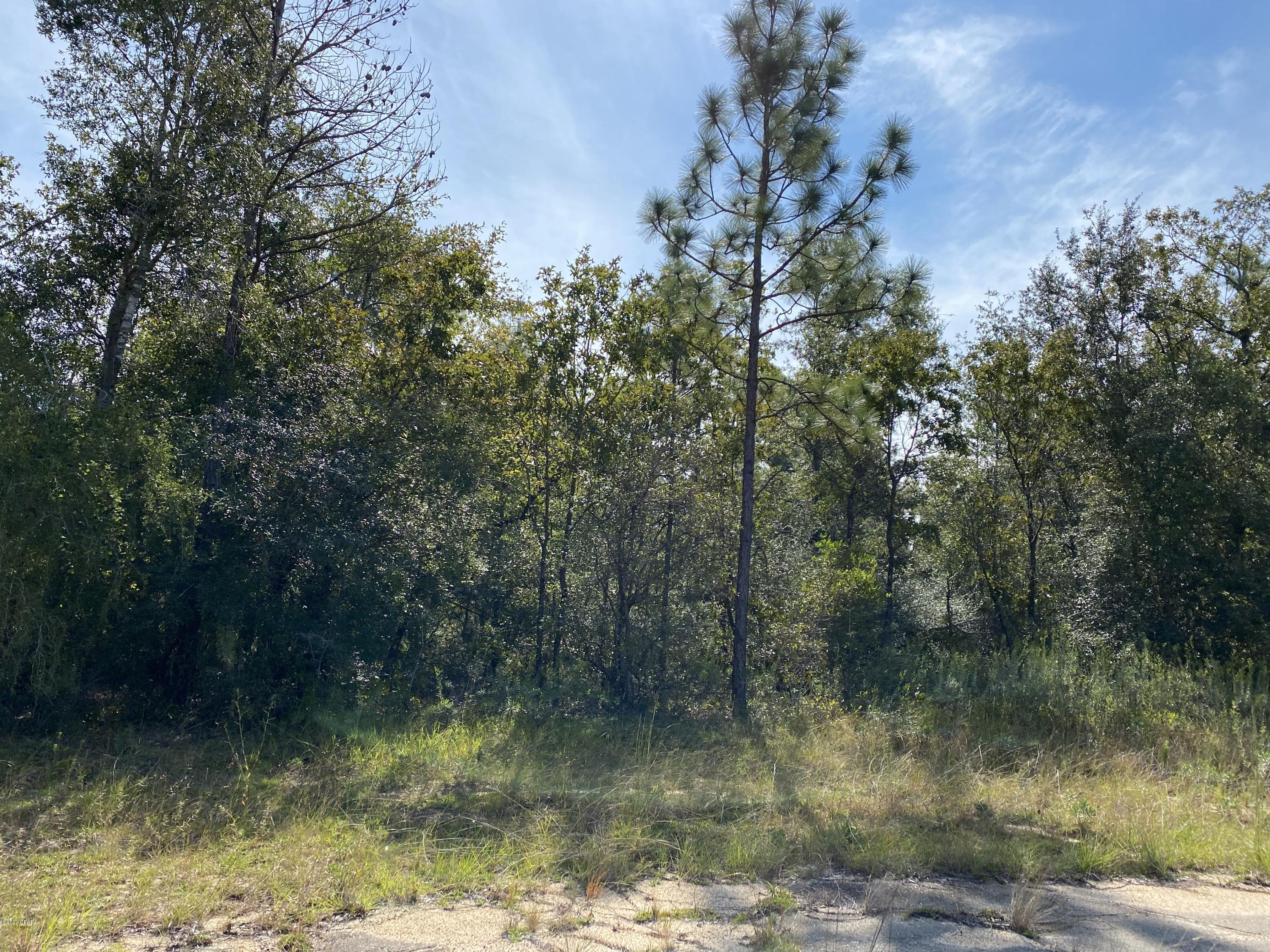 Sunny Hills Unit 6 - Land