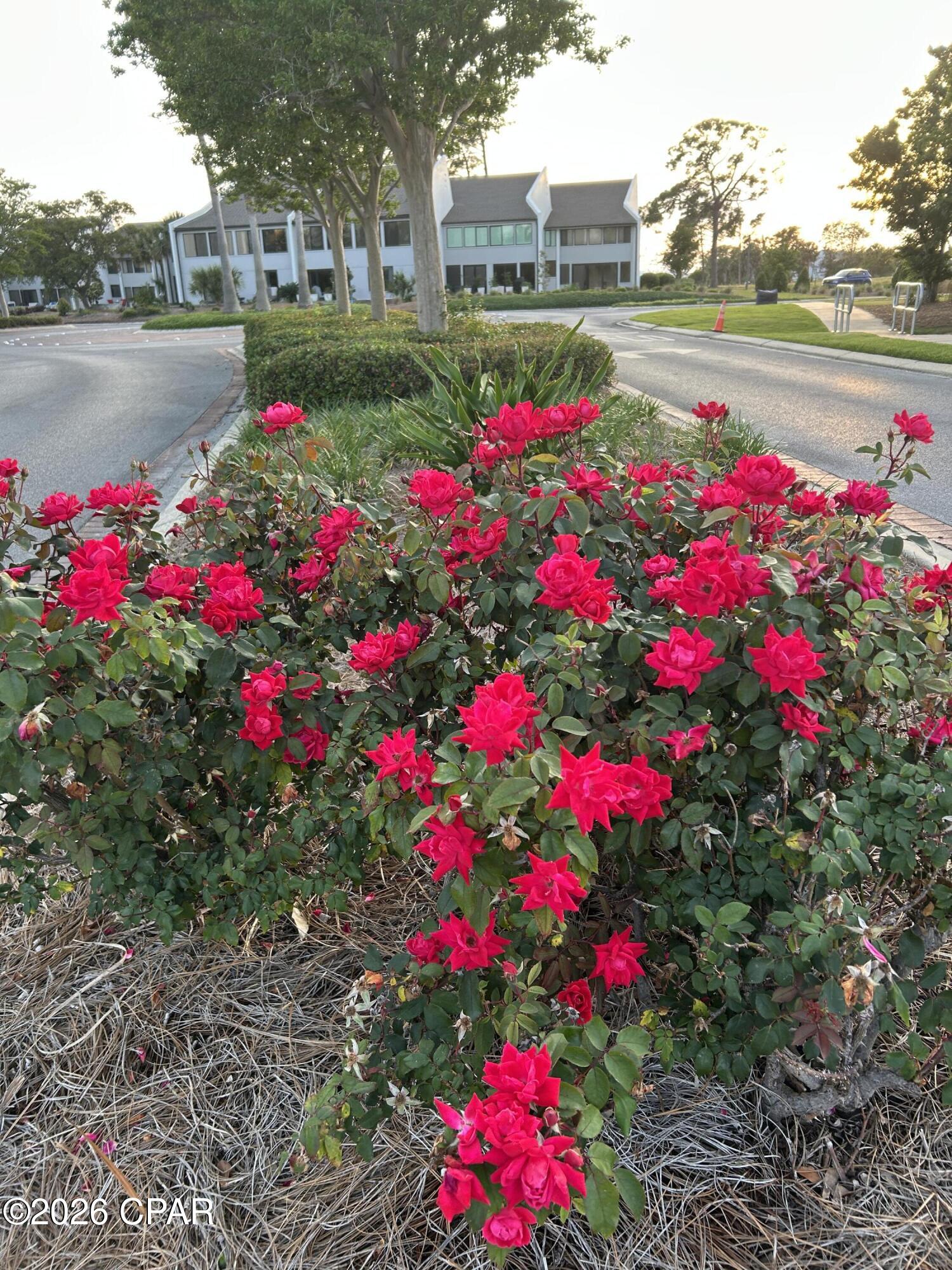 Bay Point Studio Villas Unit 3 - Residential