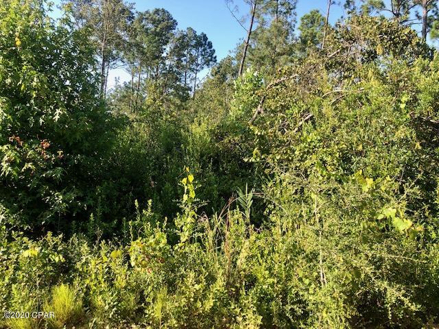 Compass Lake Hills Unit 6 - Land