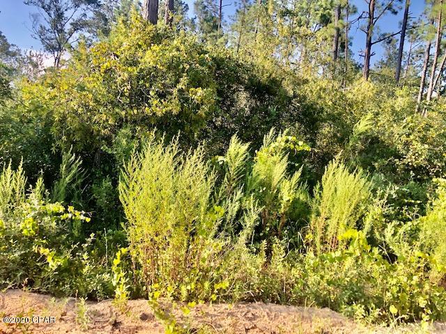 Compass Lake Hills Unit 6 - Land